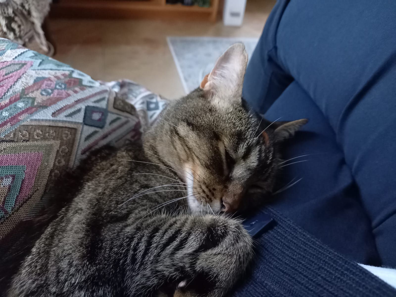 Marley  - route de vacqueyras , Sarrians