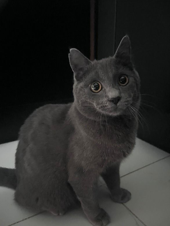 Mello - Rue de la Villageoise, Creil