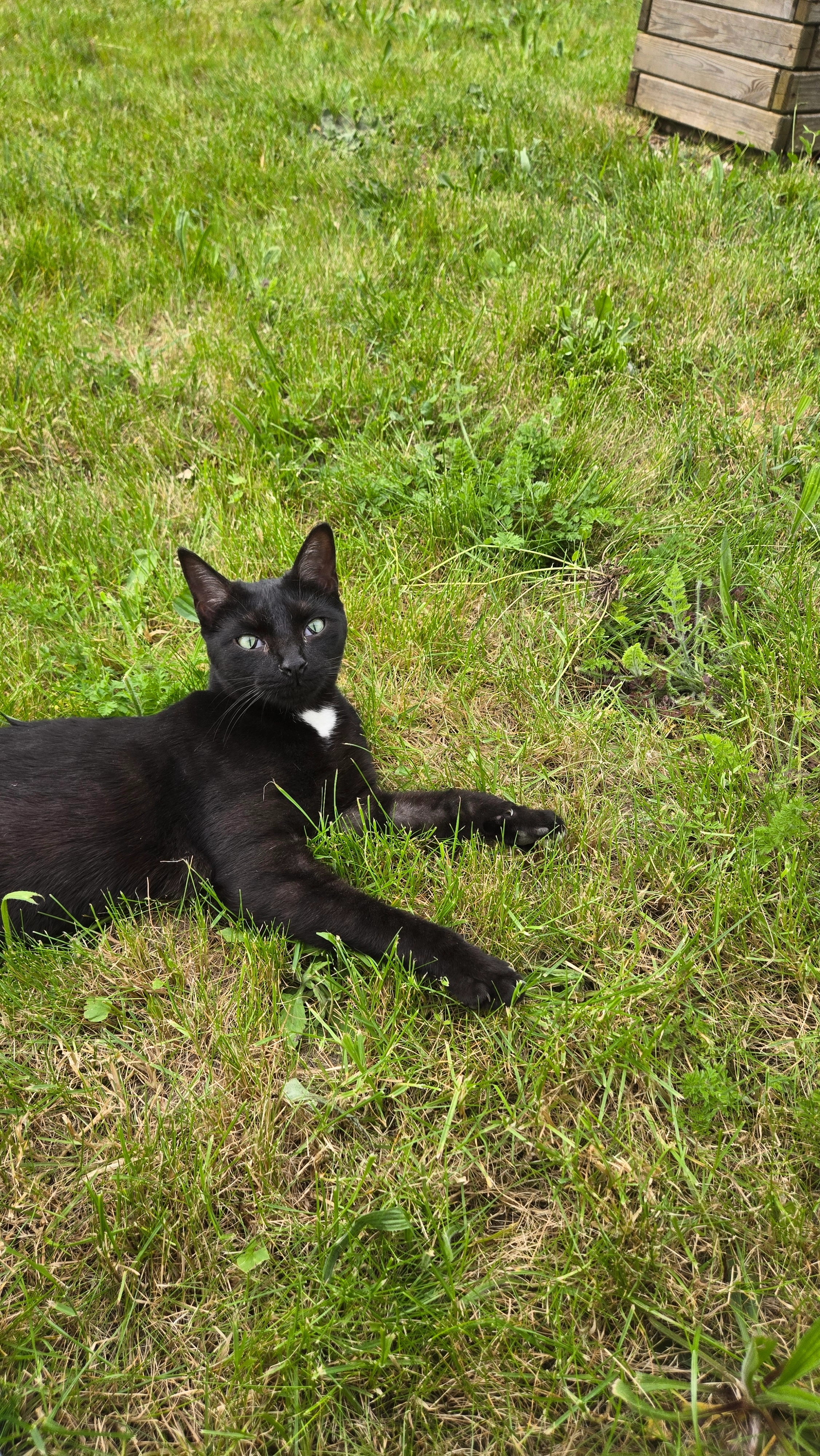 NEKO - Rue des Hauts Bergerêts, Cléry-Saint-André