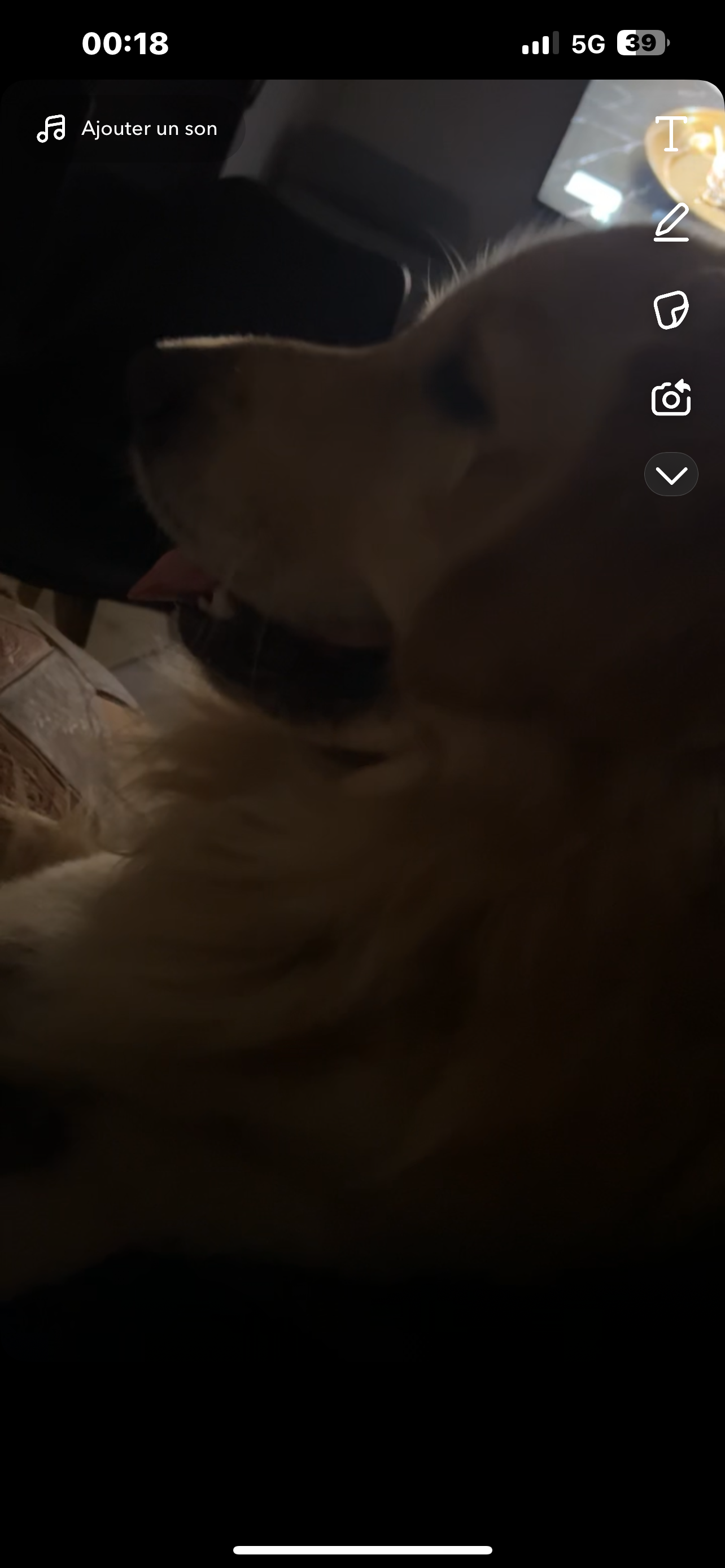 tommy - Avenue Colonel Picot, La Valette-du-Var