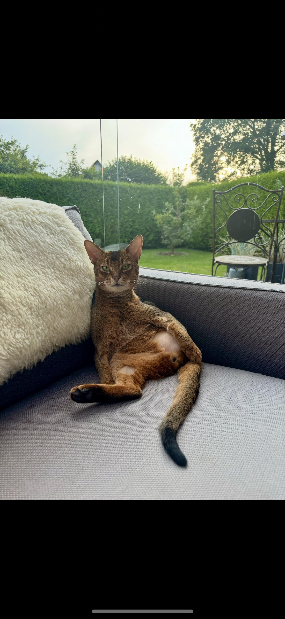 Simba - Lerchenweg 1, Bimöhlen