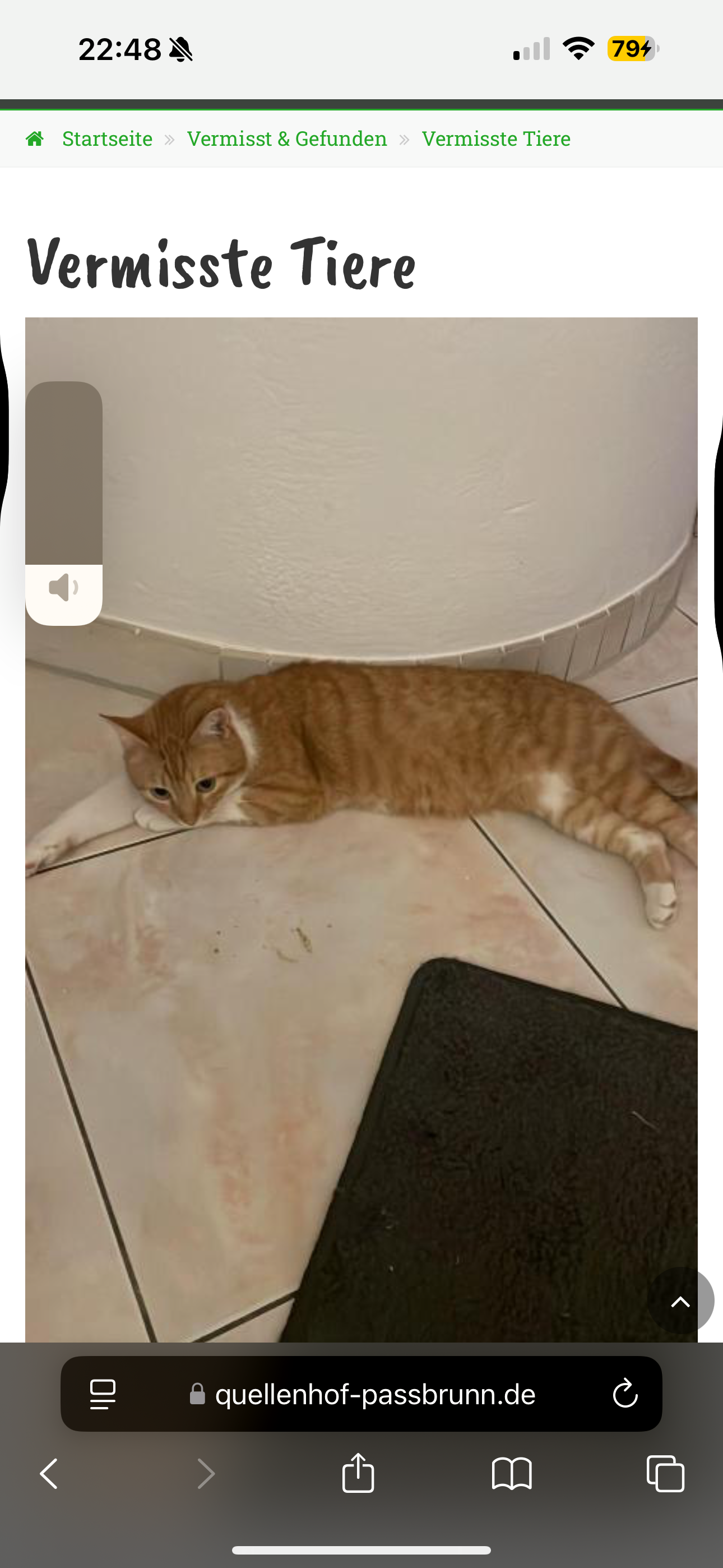 Fendi - Westendstraße, Frontenhausen