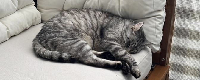 Akira  - Rainthalstraße, Bad Reichenhall