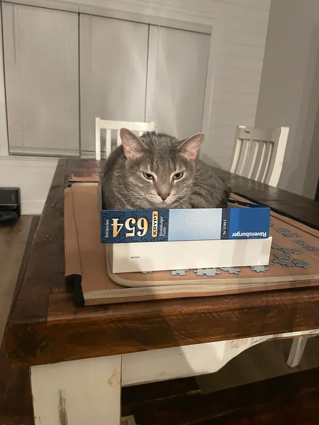 Bob - Holly Court, Prattville