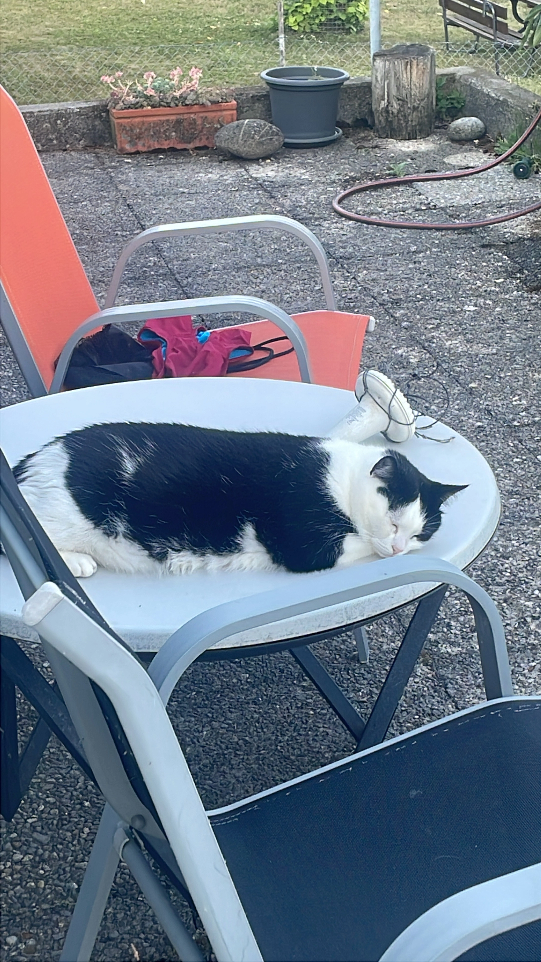 Bipsi - Strandweg 37, Twann-Tüscherz