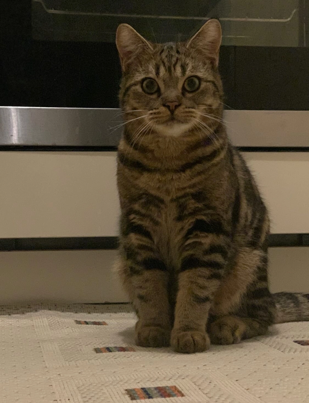 Tarcin  - Annaberger Straße, 09125 Chemnitz