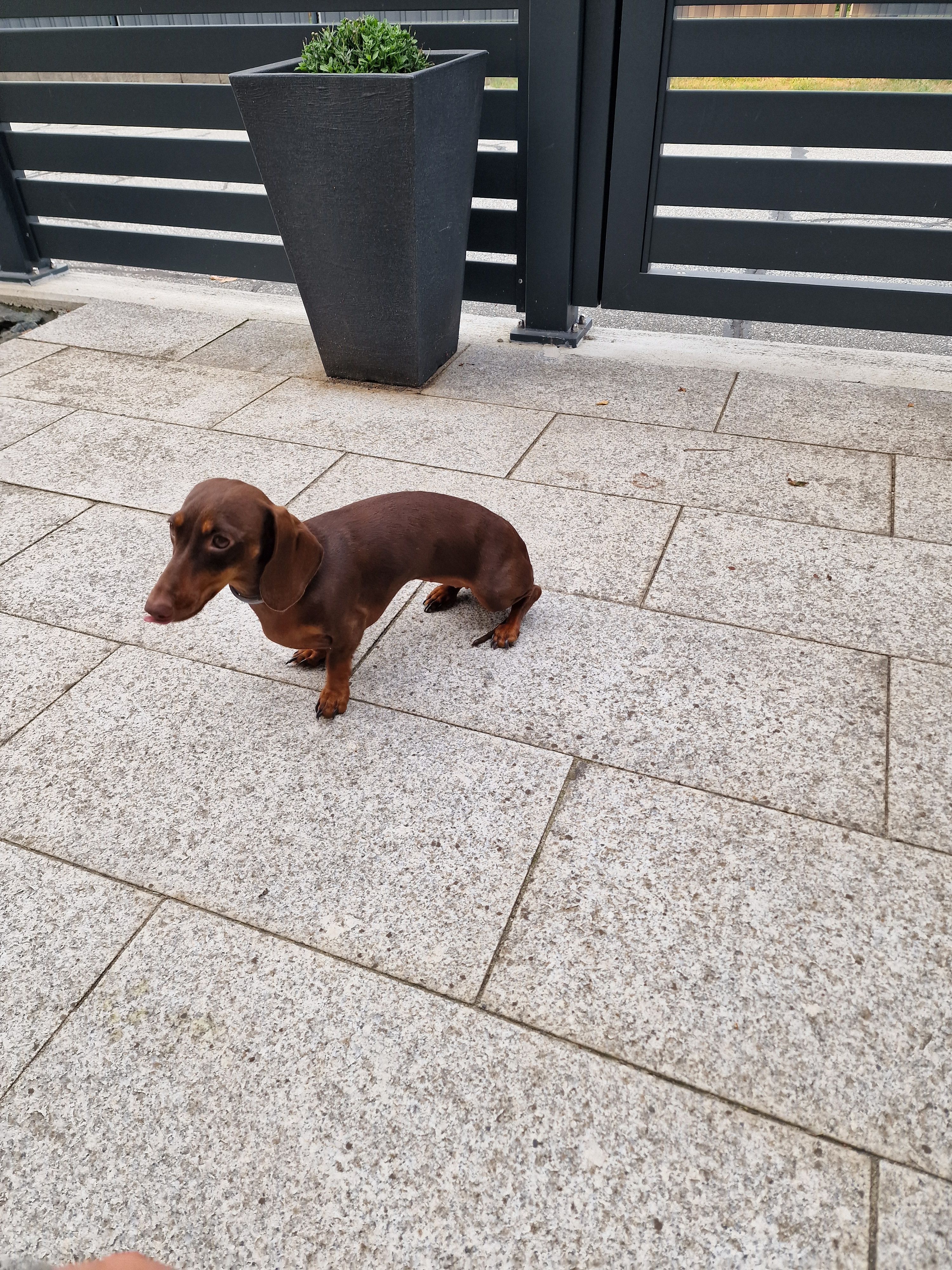 Lucy - Schönberg 41, Bad Sankt Leonhard im Lavanttal