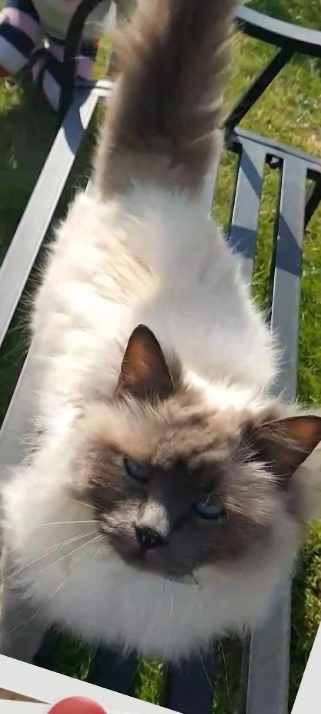 dolce - 4 Rue du Moulin, Magny-en-Vexin