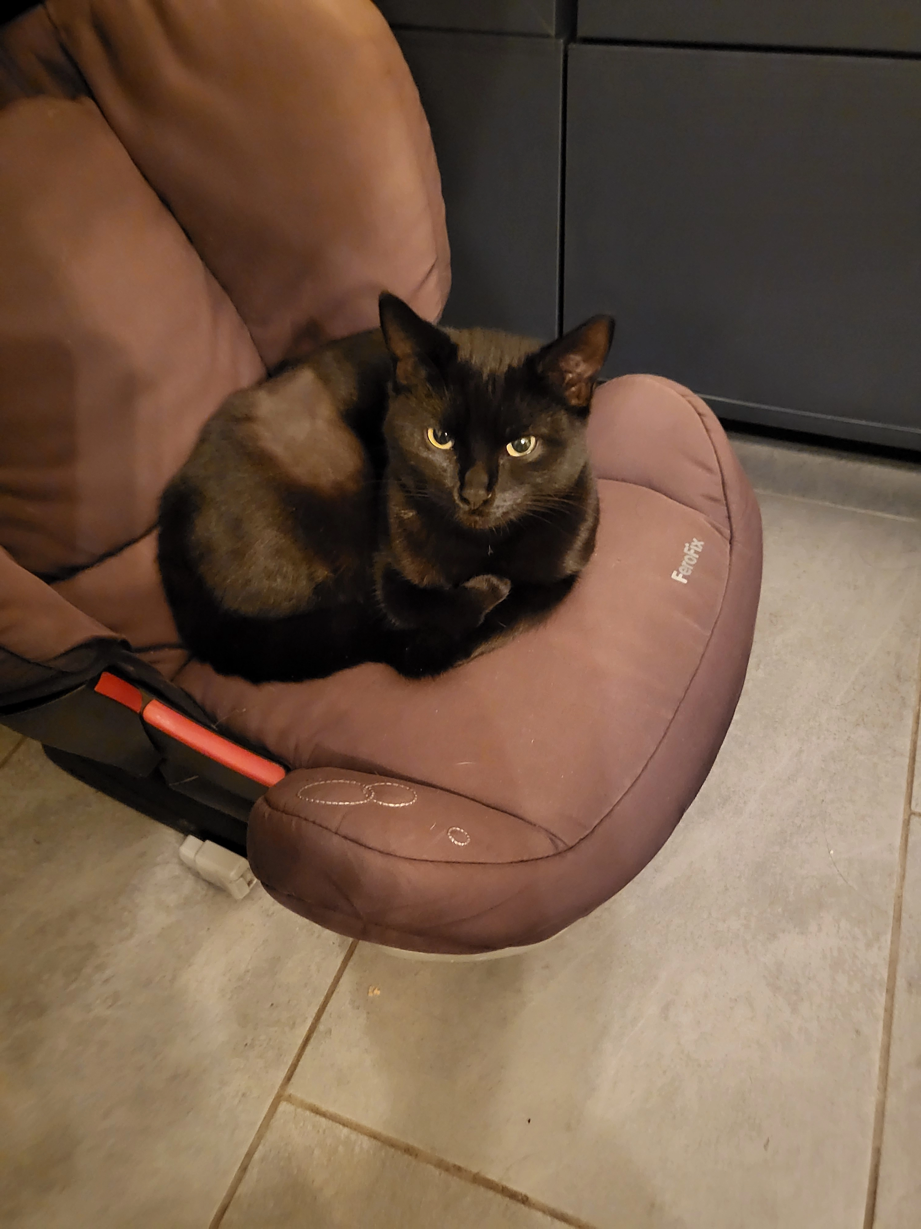 Astra - 812 Rue Nationale, Esches