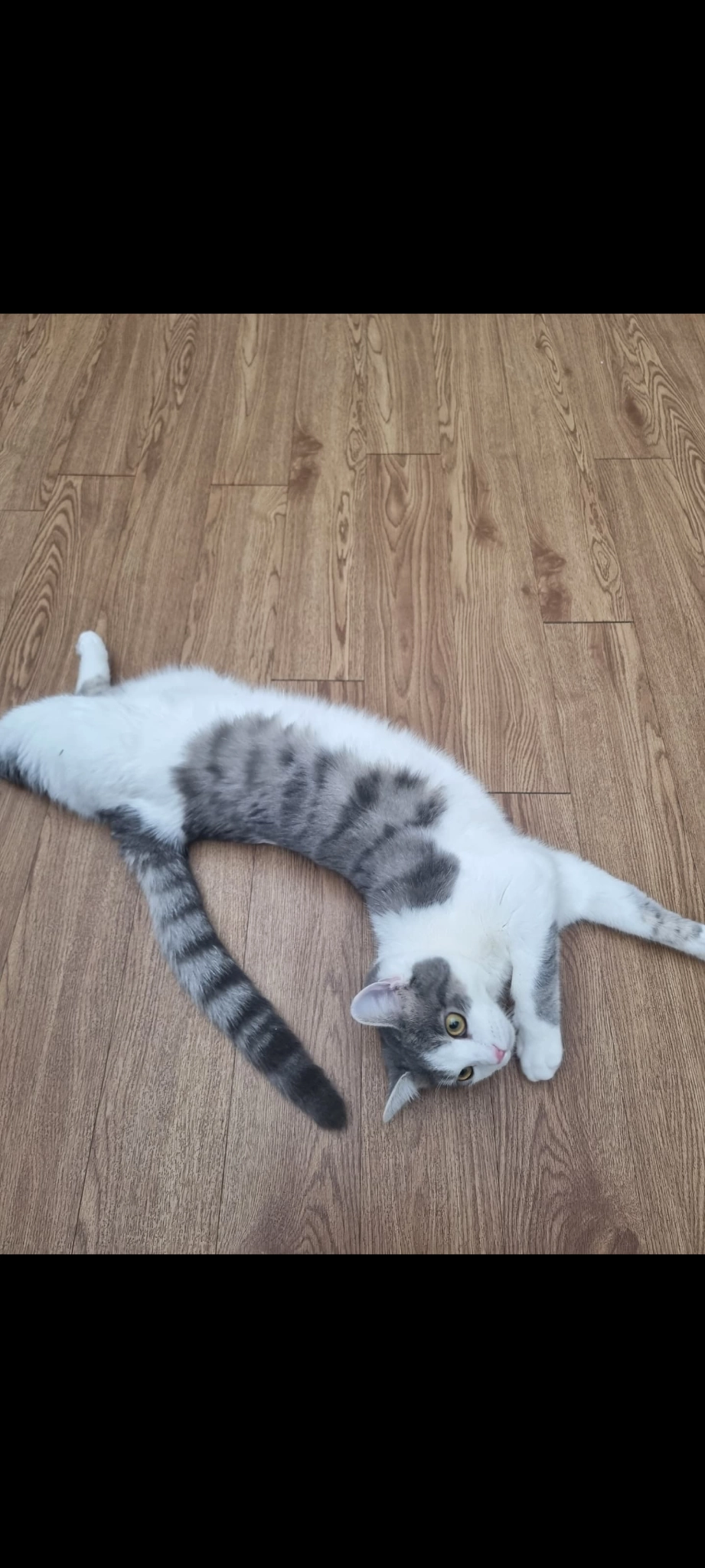 Trudy - Whaddon Way, Milton Keynes