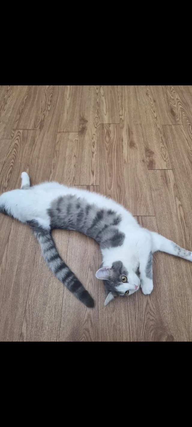 Trudy - Whaddon Way, Milton Keynes