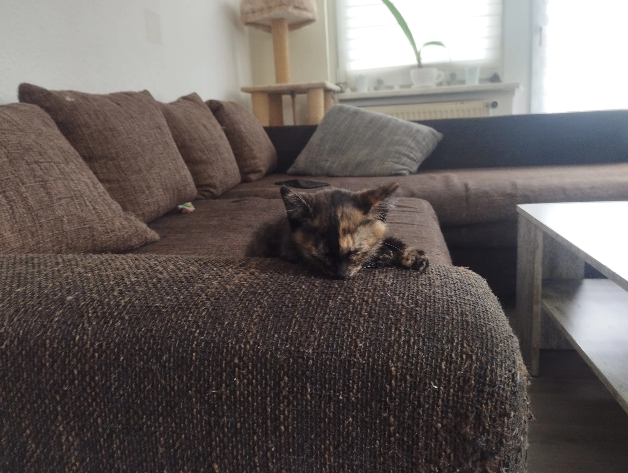 Egona - Siedlung 16b , Narsdorf 