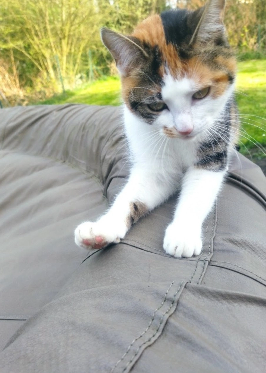 Lilou - Rue de Villers 50, Gerpinnes