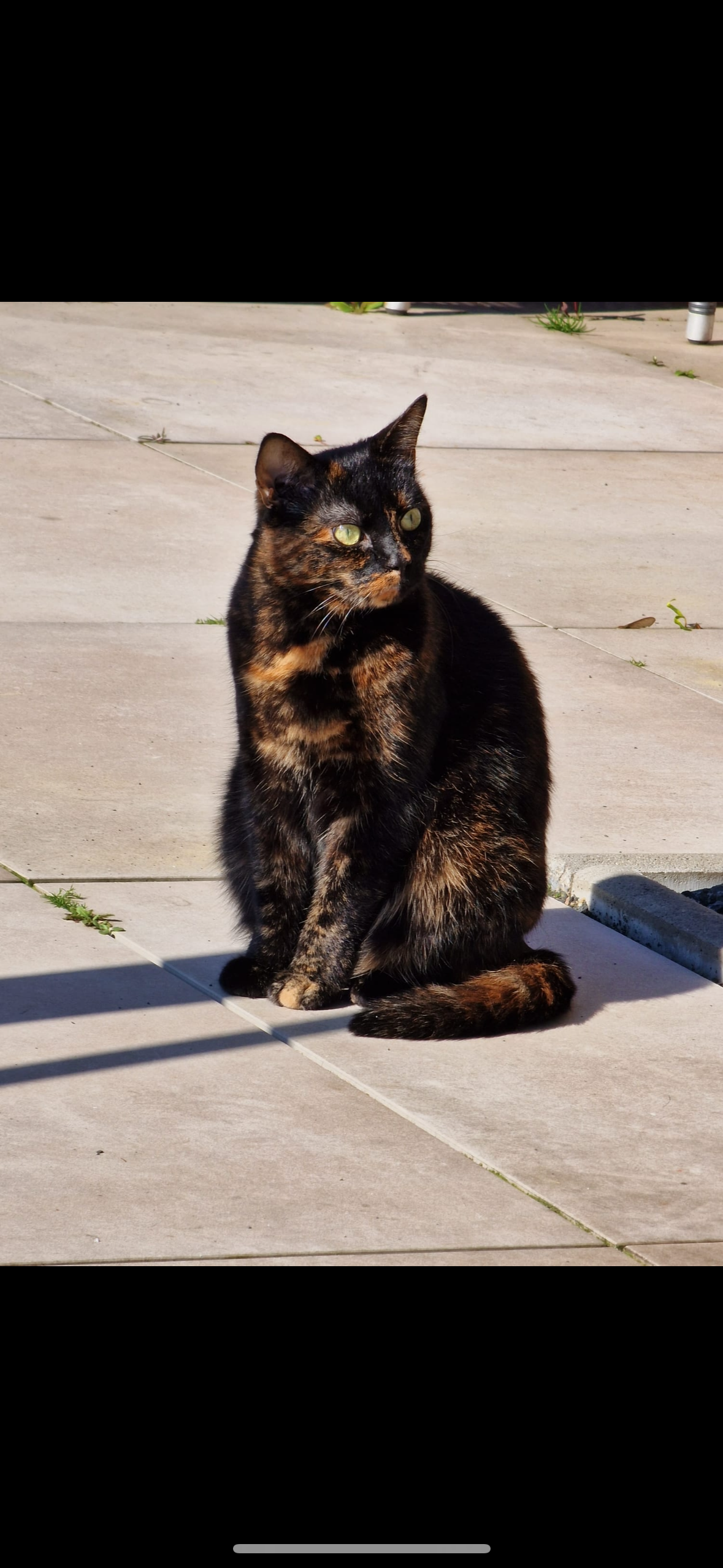 Bonnie - Am Blaufuß, Wesel
