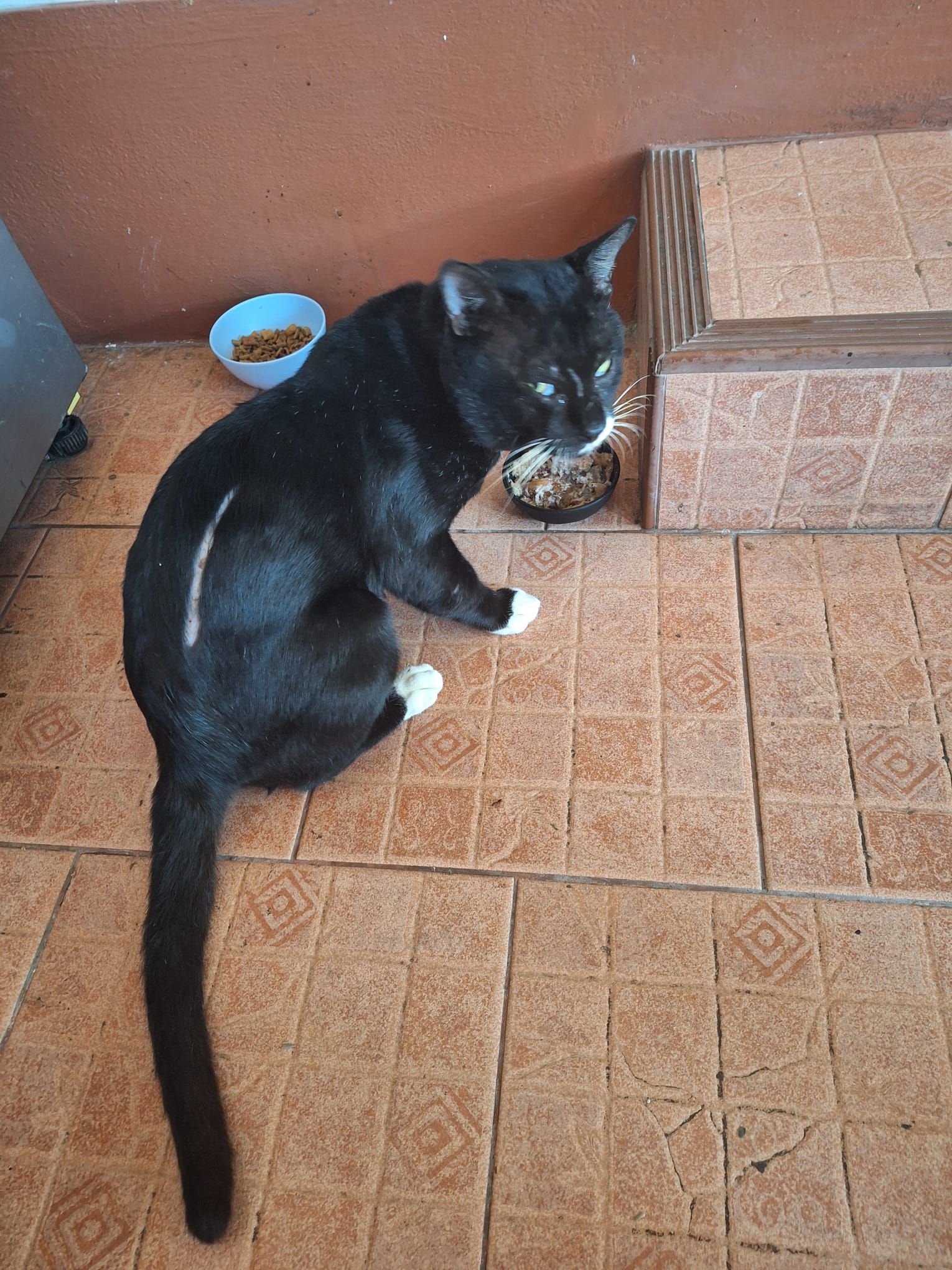 Kiro - ถนนเทศบาล 1 ซอย 37, Bang Lamung