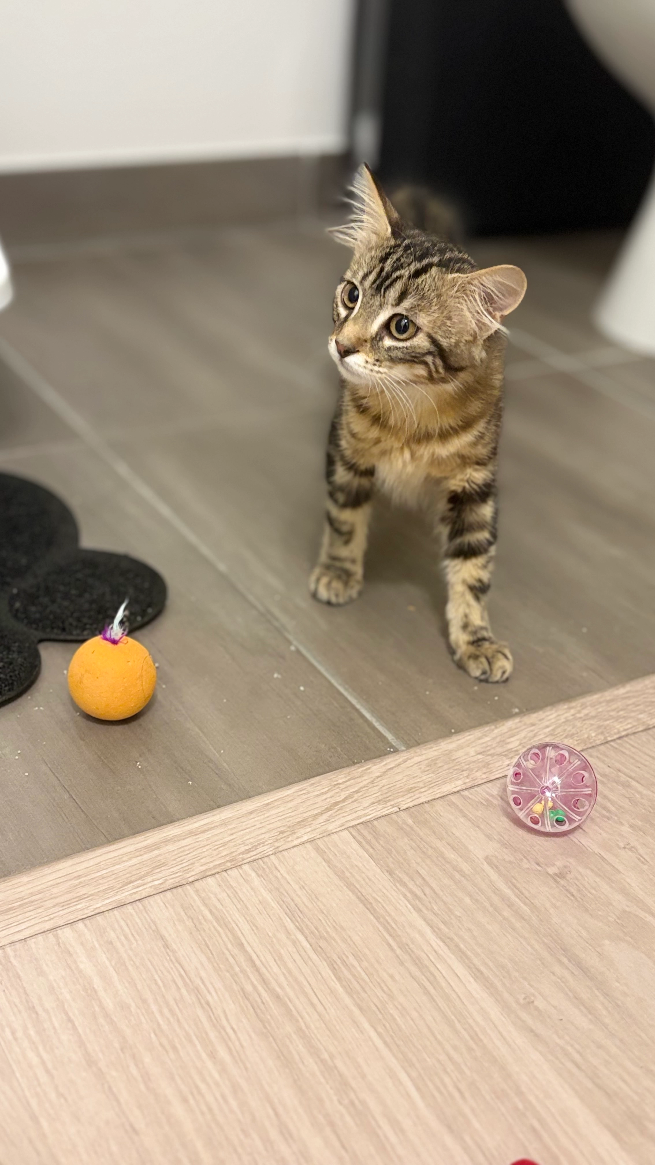 Amour - Rue Hélène, Neuville-sur-Saône