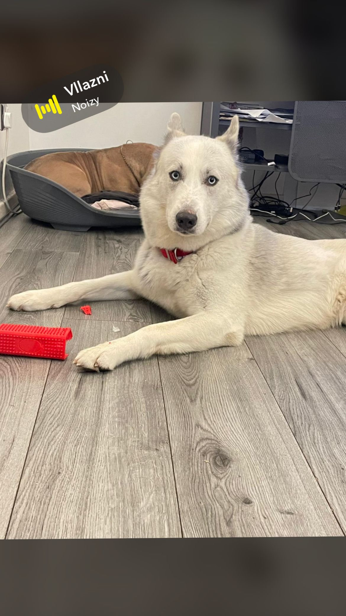 Milo - OX3 0, Oxford