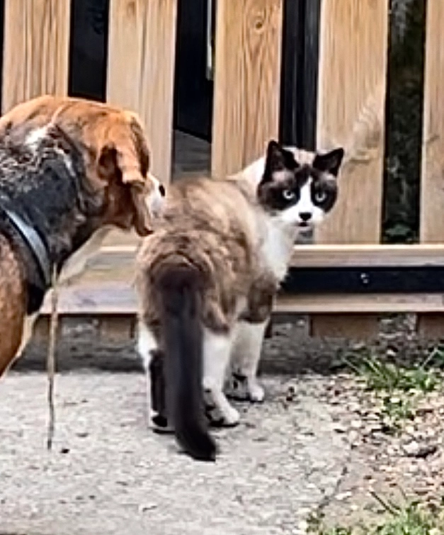 Fidji - Place De L'église, Chazelles