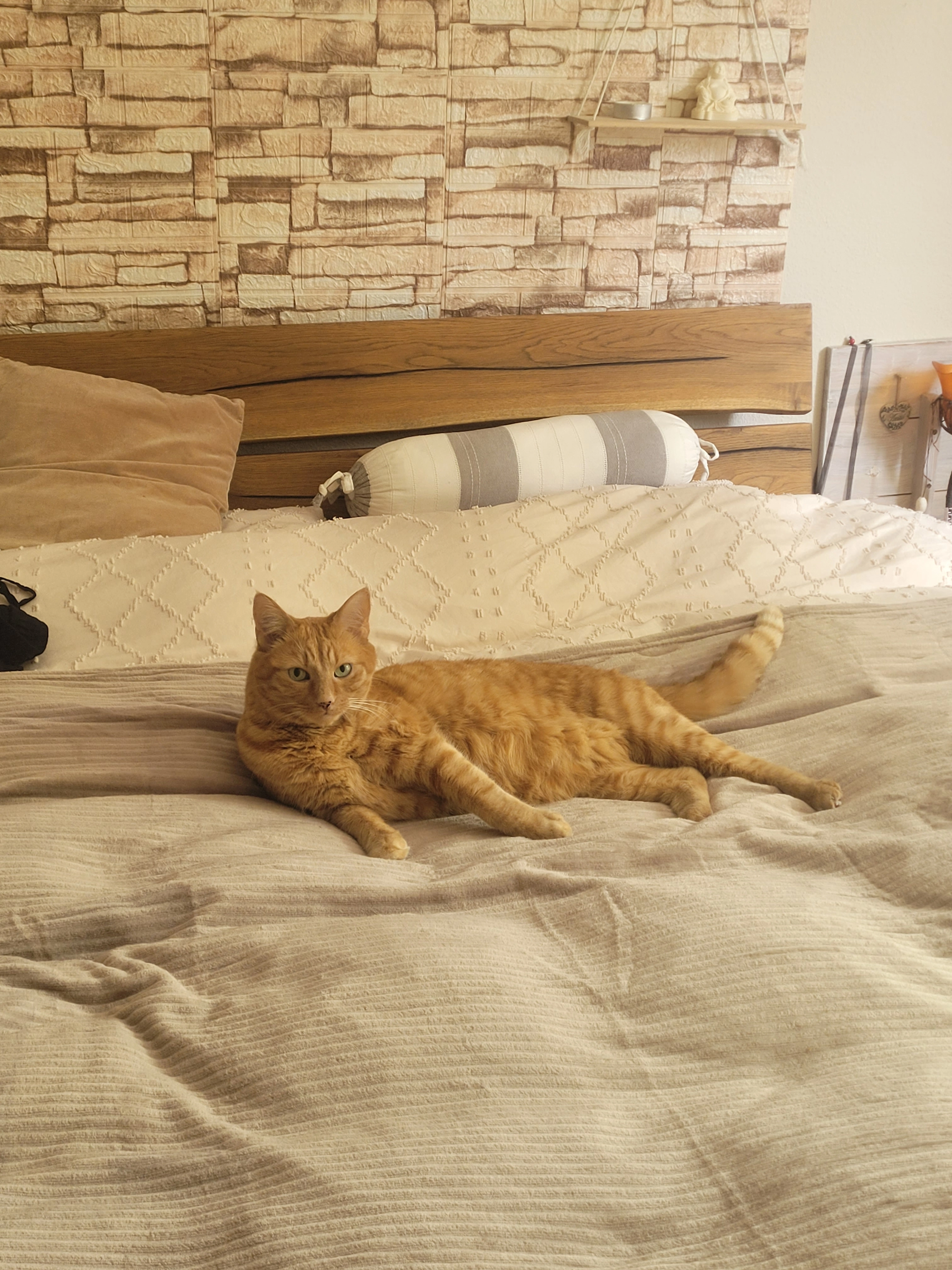 Billy - Boulevard de Charmontey, Vevey