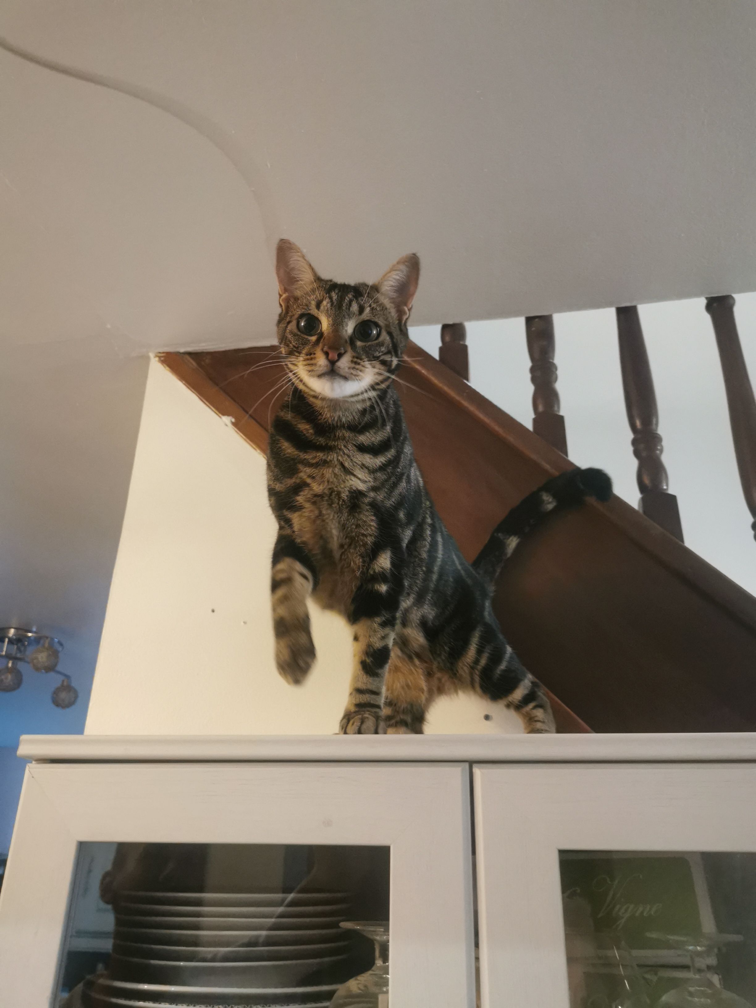 Wilo - Rue De La Libération, Gainneville