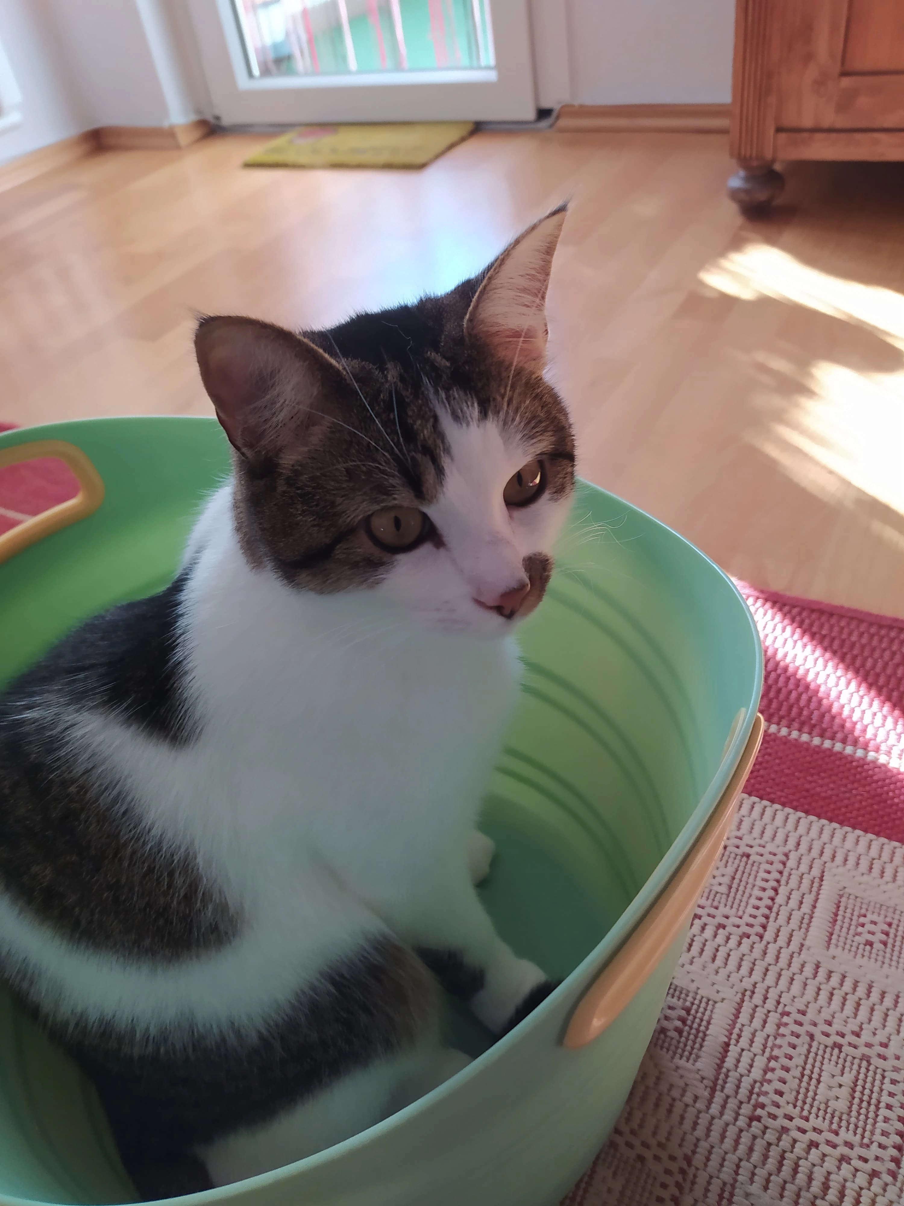 Paul - Porschestraße, Wolfsburg