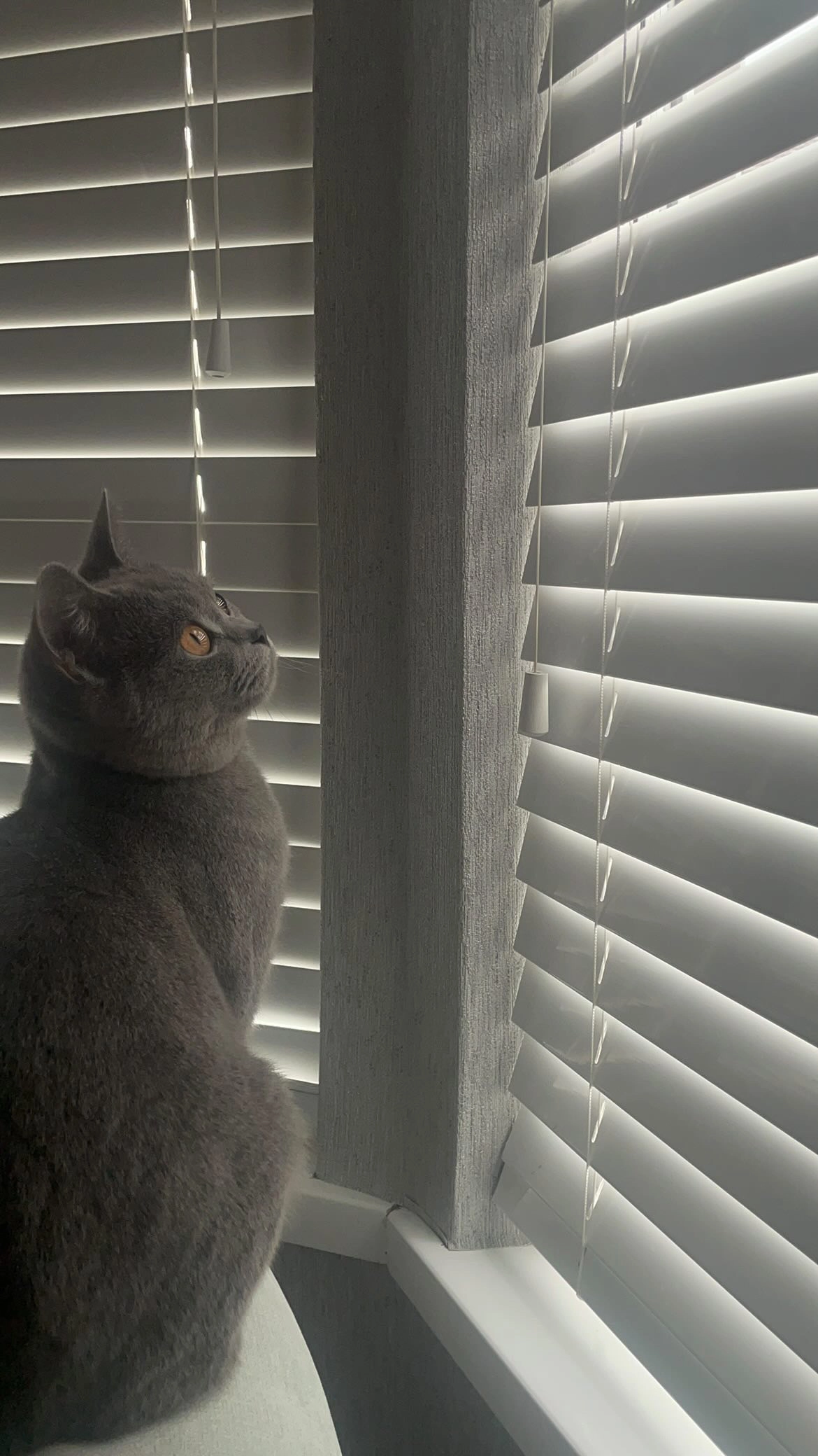 Omar  - Ford End Road, Bedford