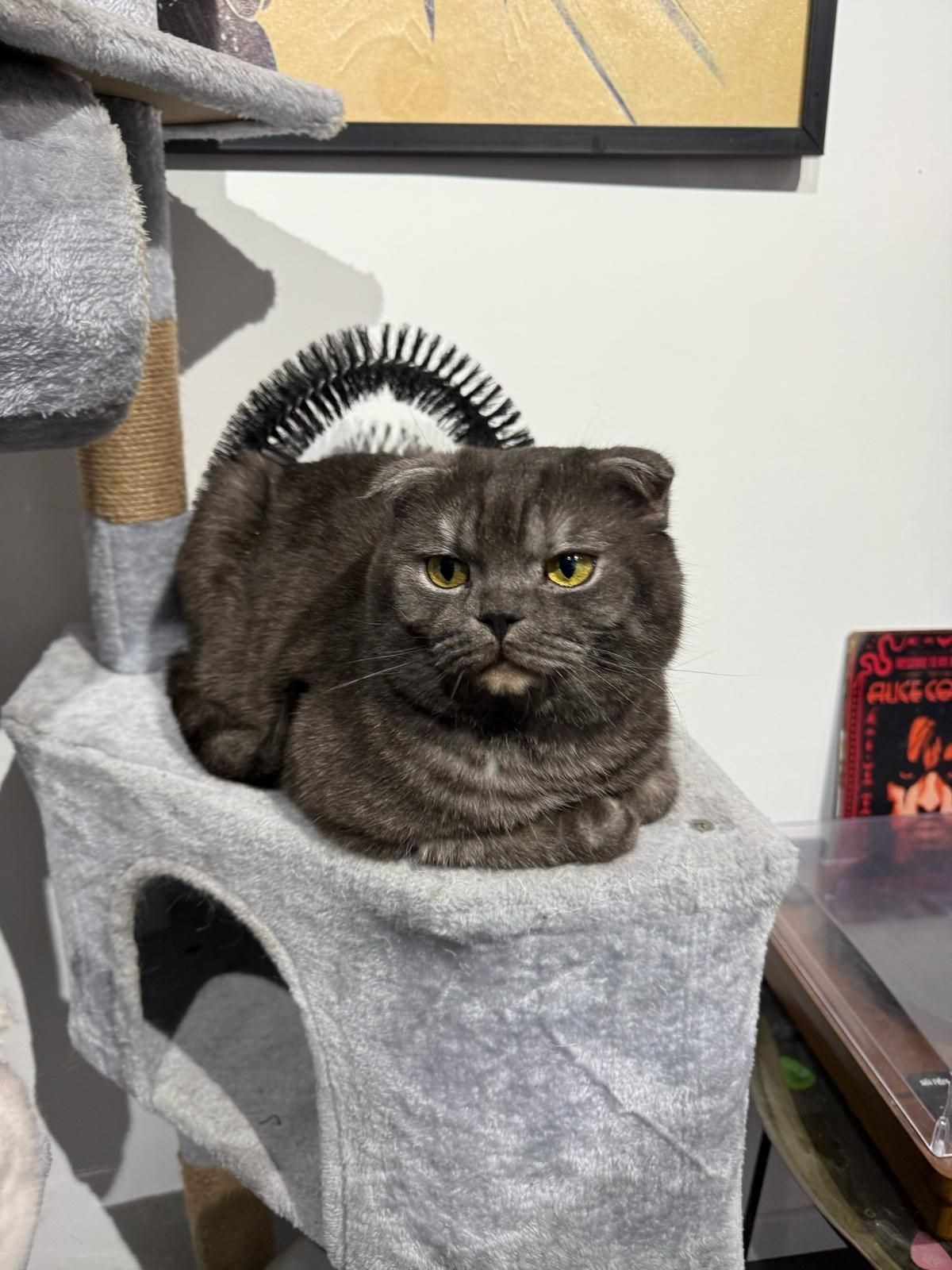 Boten  - Frankel, Tel Aviv