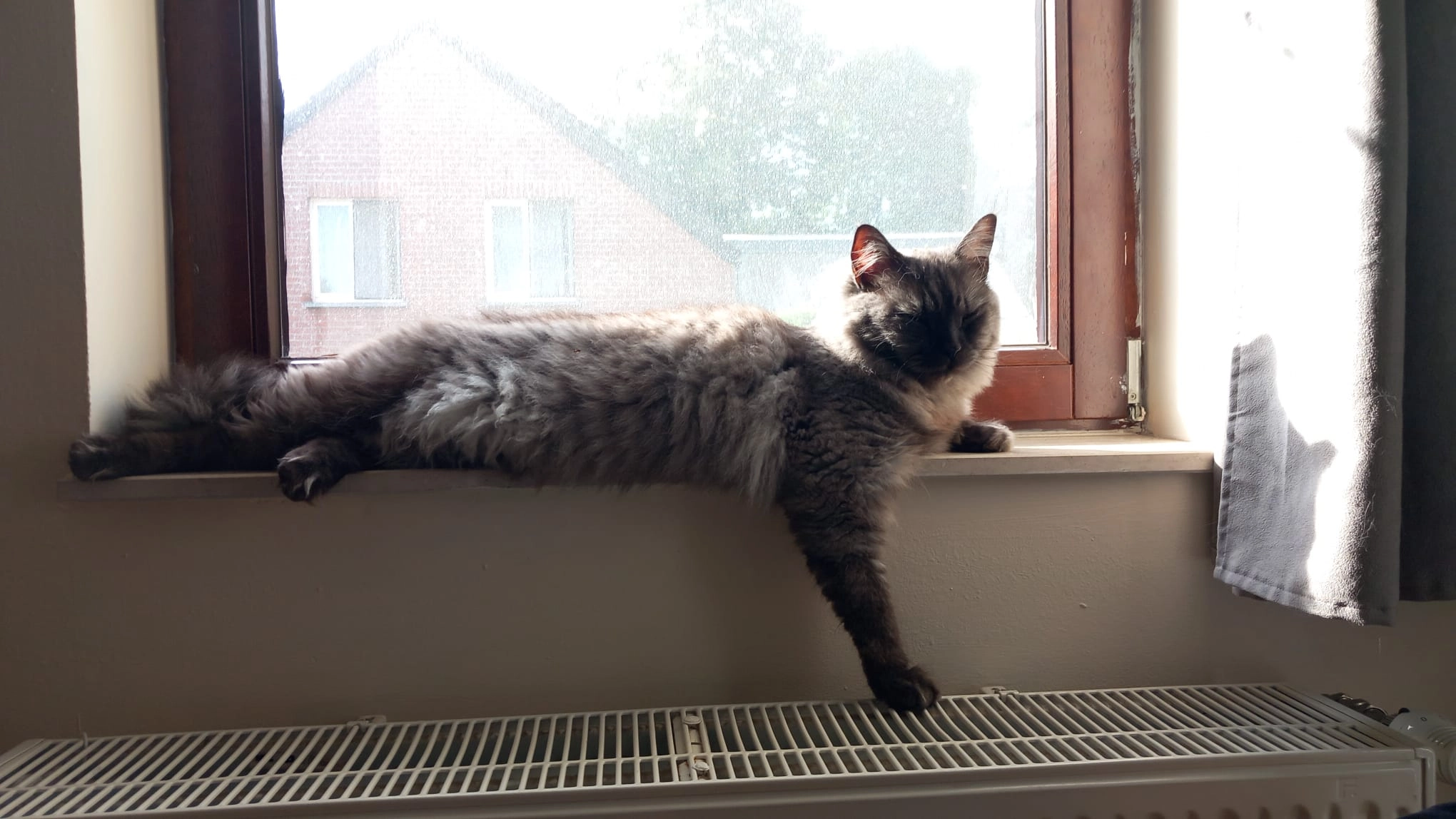 Lufy - Rue Grande, Wasseiges