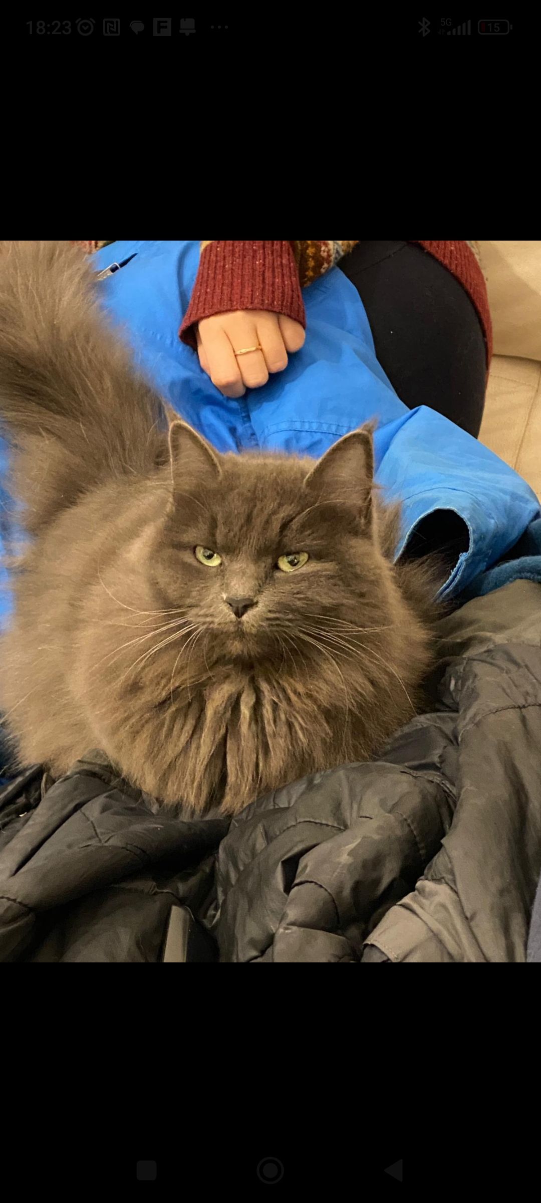 Nube - Via Pier Antonio Micheli, Florence