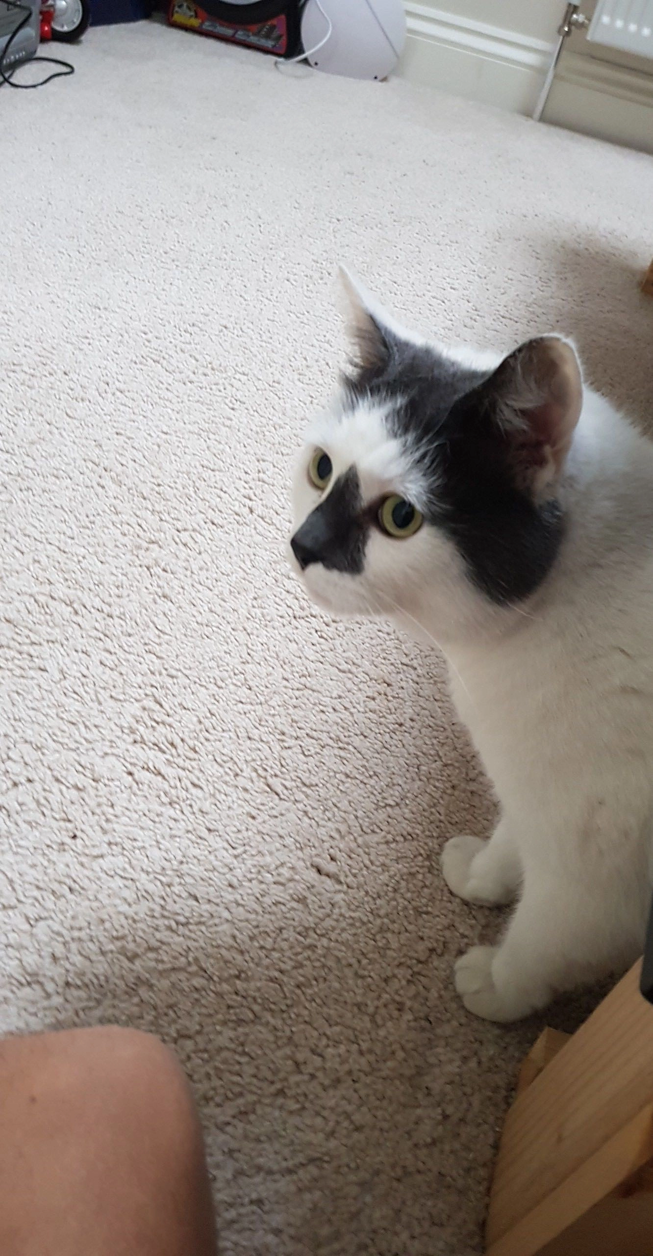 Erick  - Bracken Edge, Leeds