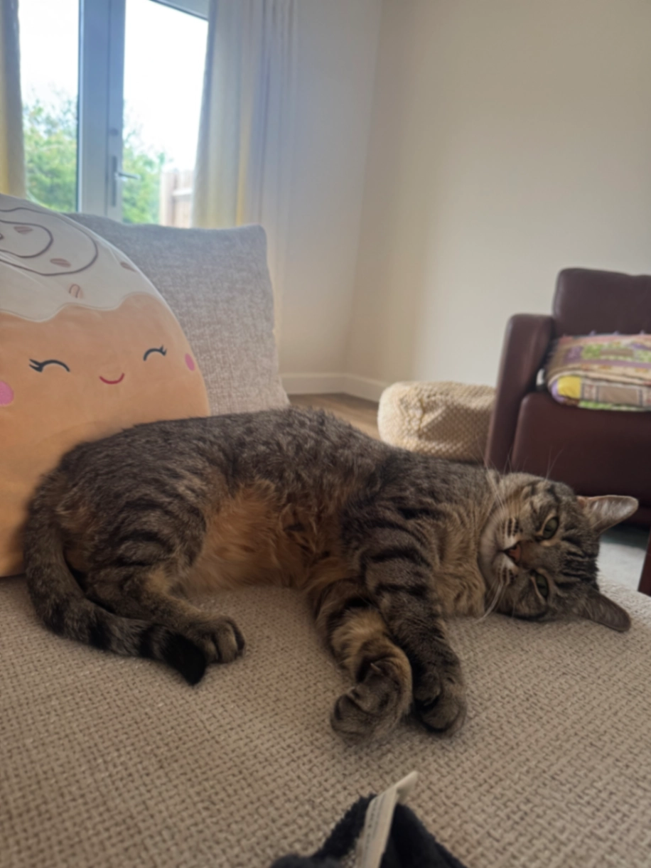 Vada - Blackhall Road, Cambridge