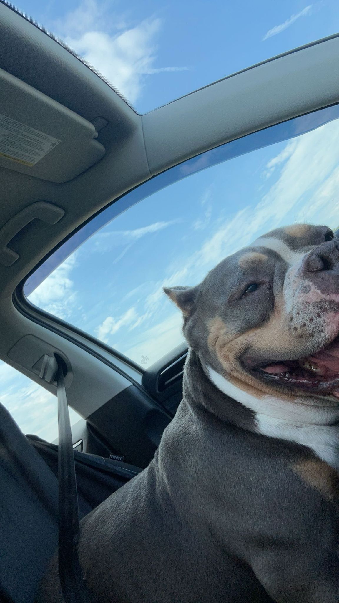 Plata - Maasbrachterweg, Echt