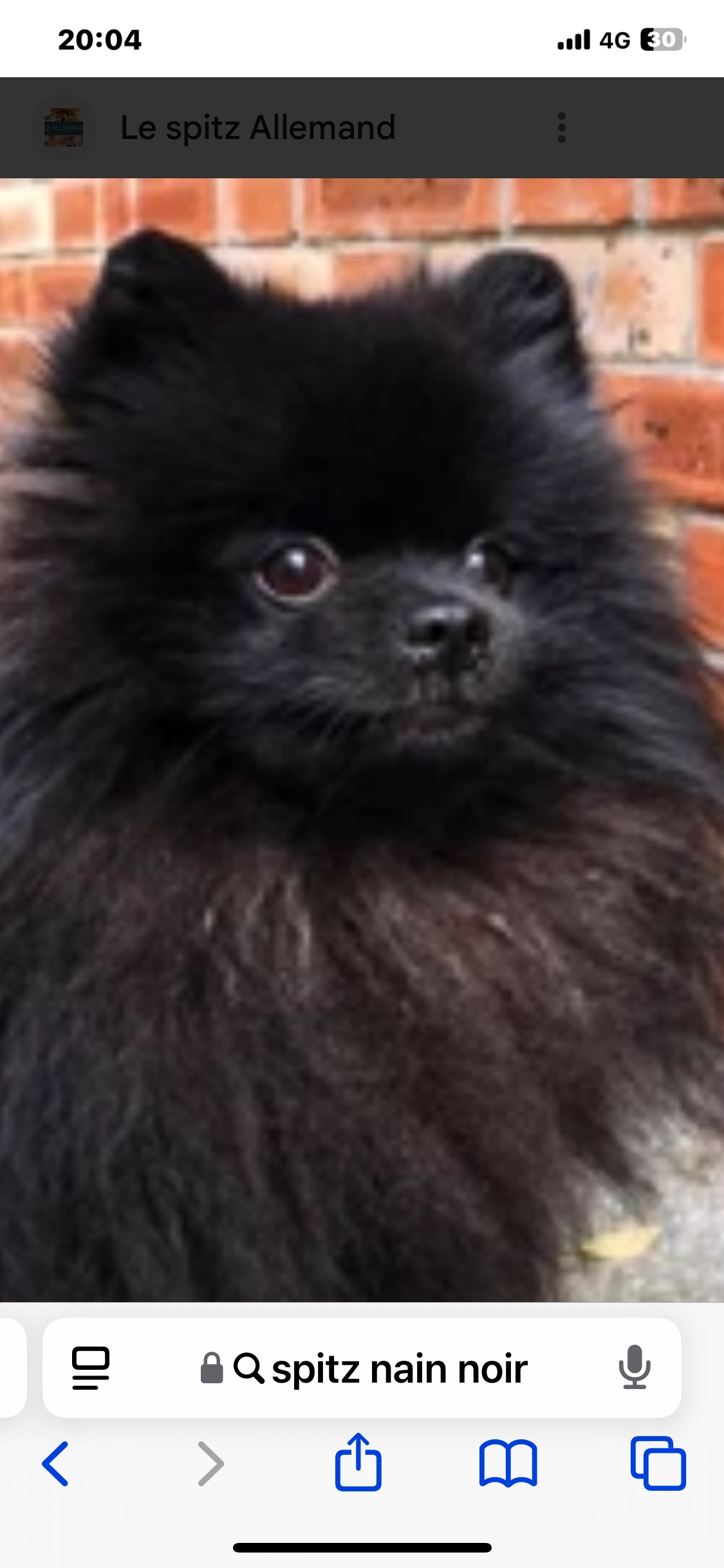 Thai - 26 Rue des Cerisiers, Le Havre