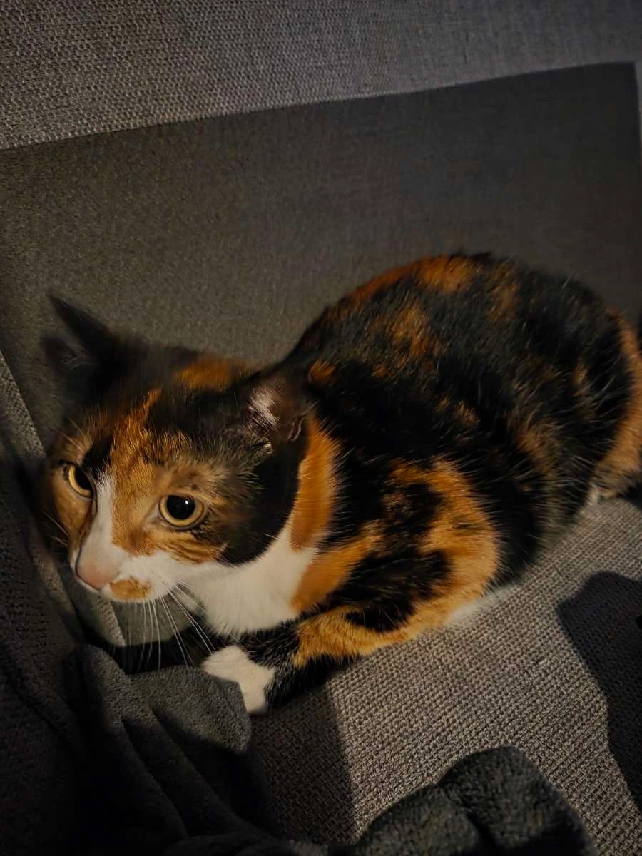 Yuka - Rue Bernard Palissy, Puteaux