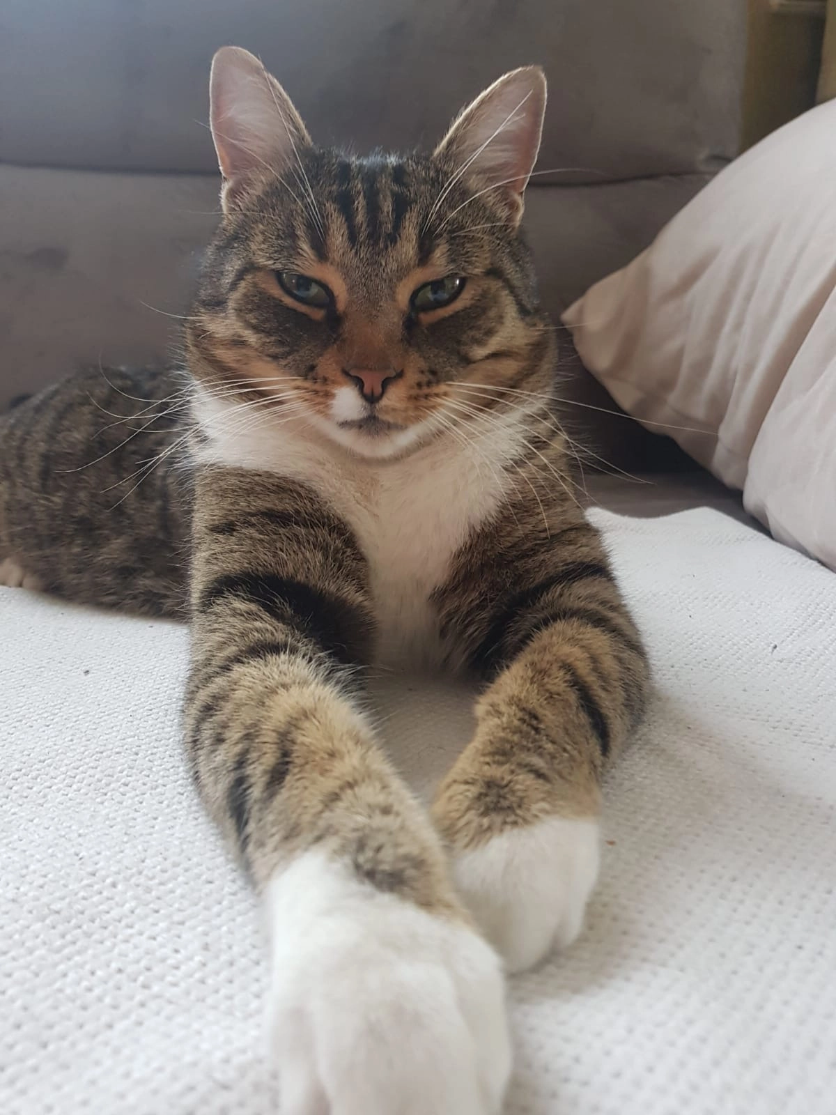 Jakob - Miglweg, Elsbethen