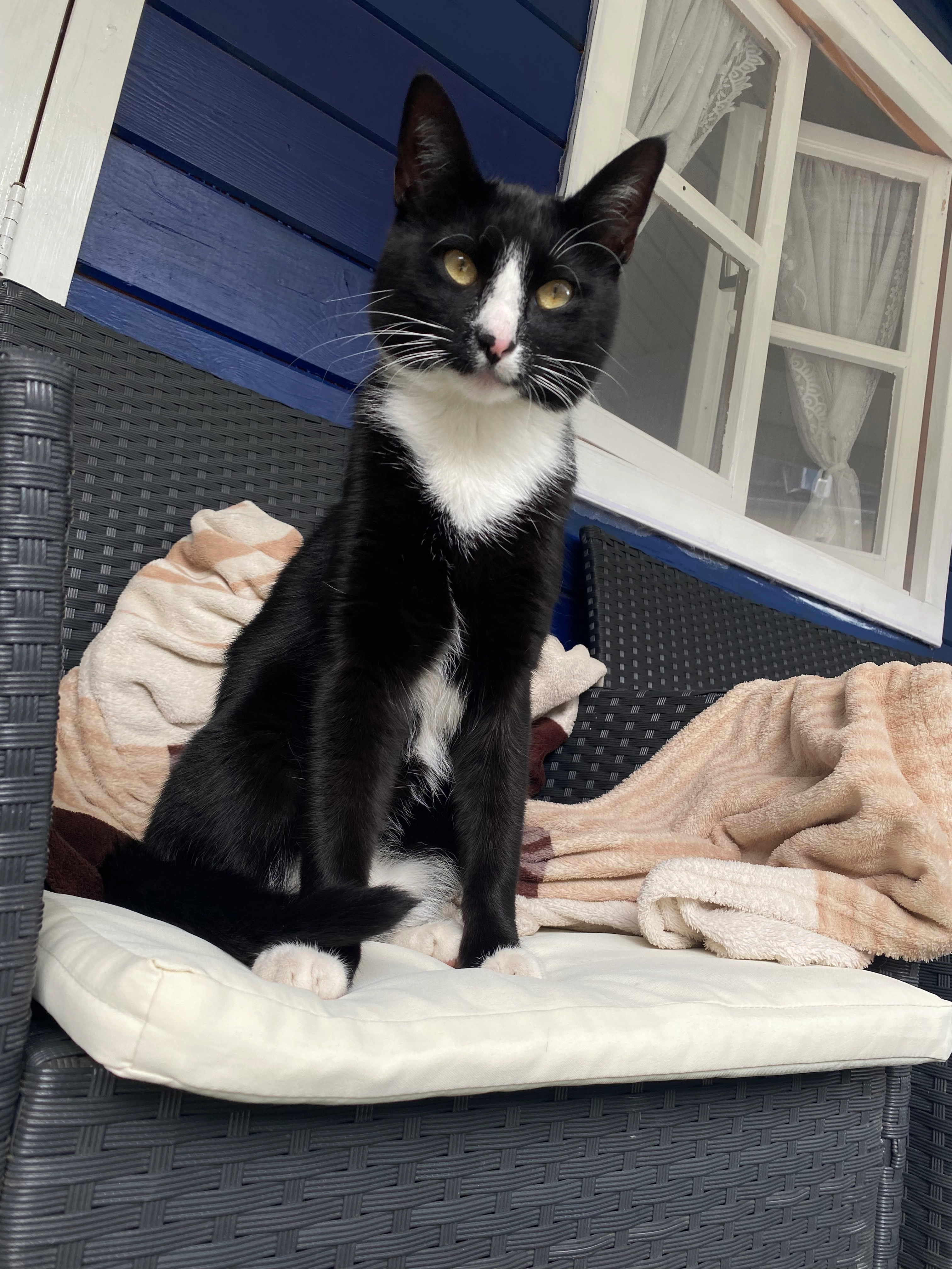 Milo - Berthelsdorfer Straße, Freiberg