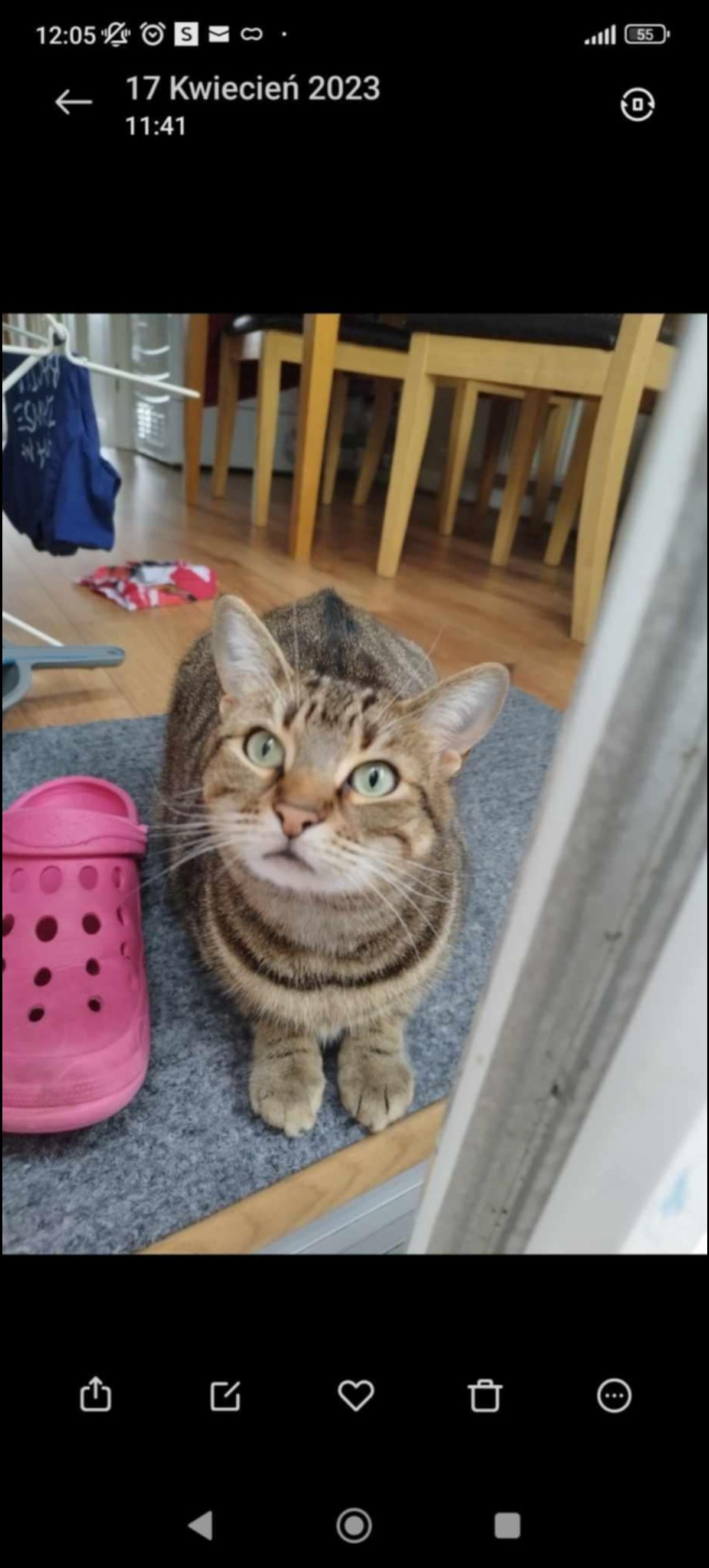 Izi - Blarney Street, Cork