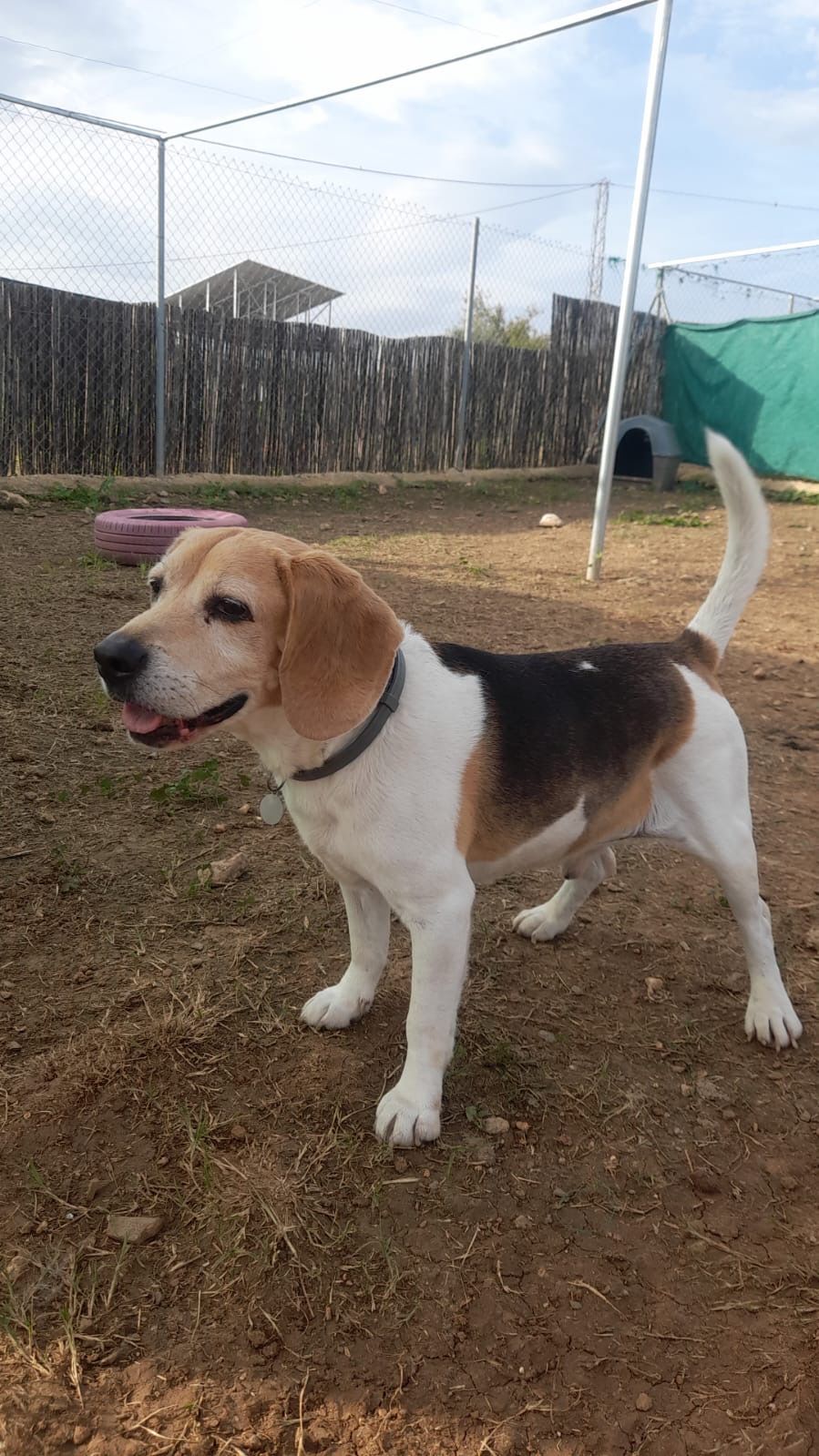 Sony - Camino de Magiaza, Riogordo