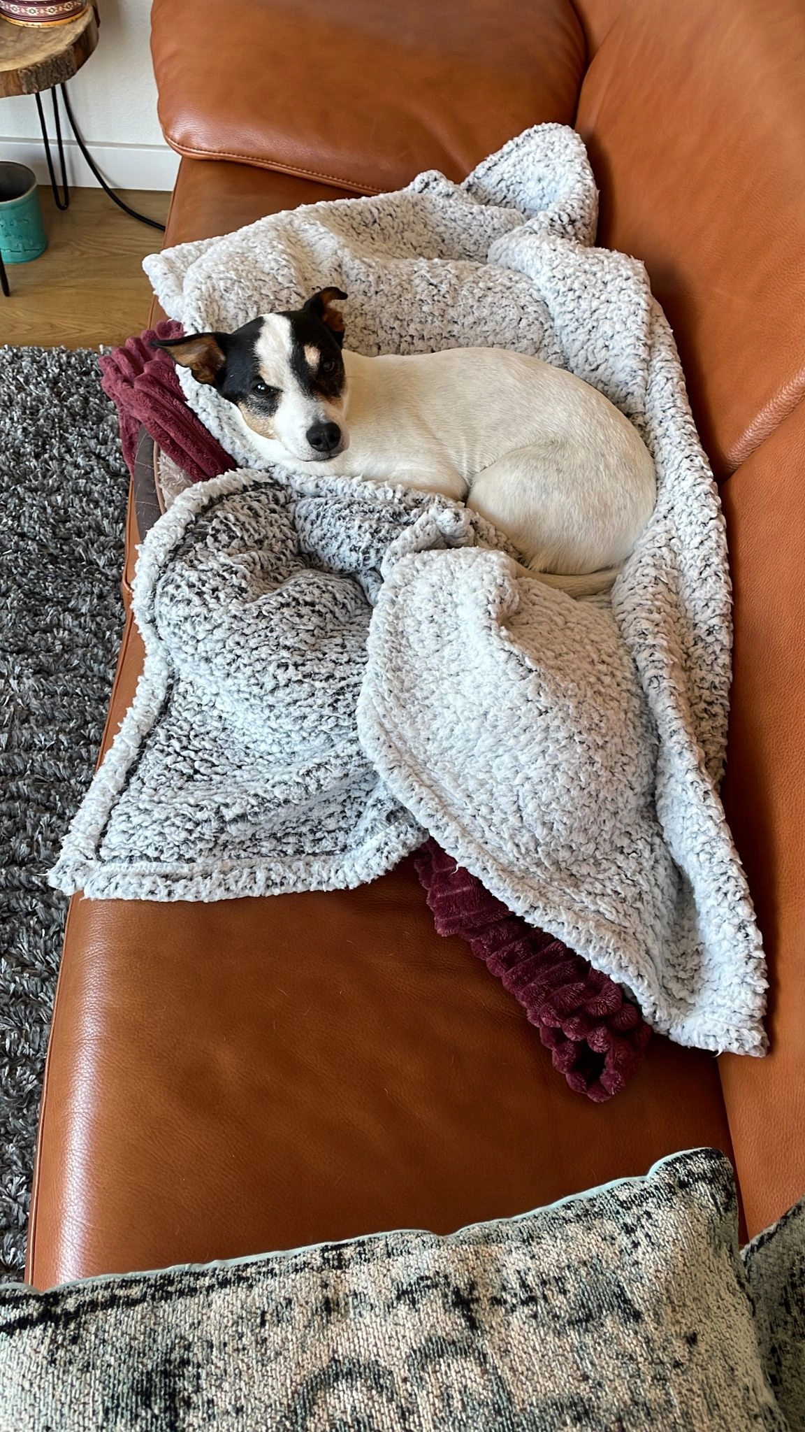 Pip - Rondweg Noord, Amersfoort