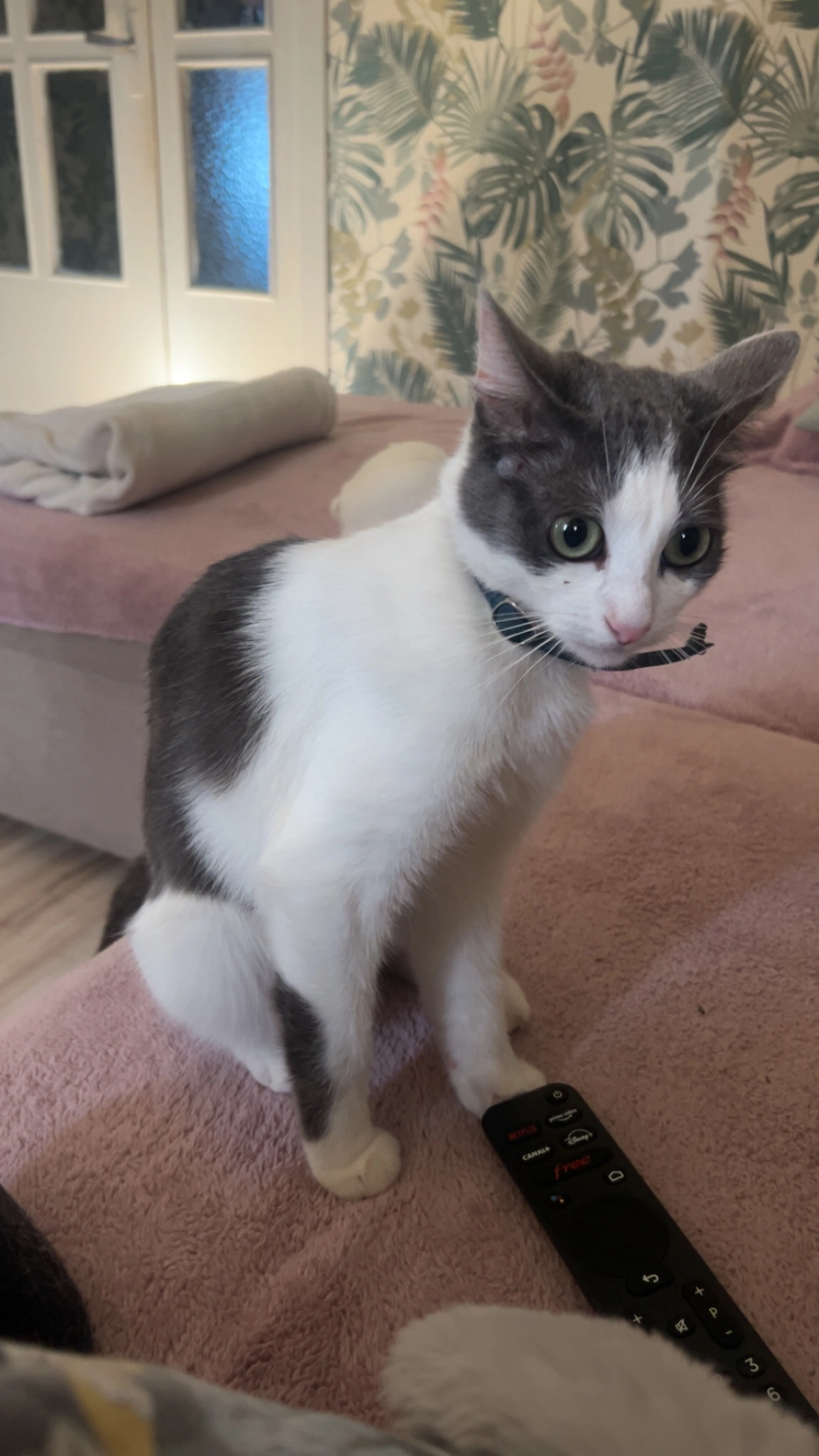 melococo - Chemin Vauban, Montargis