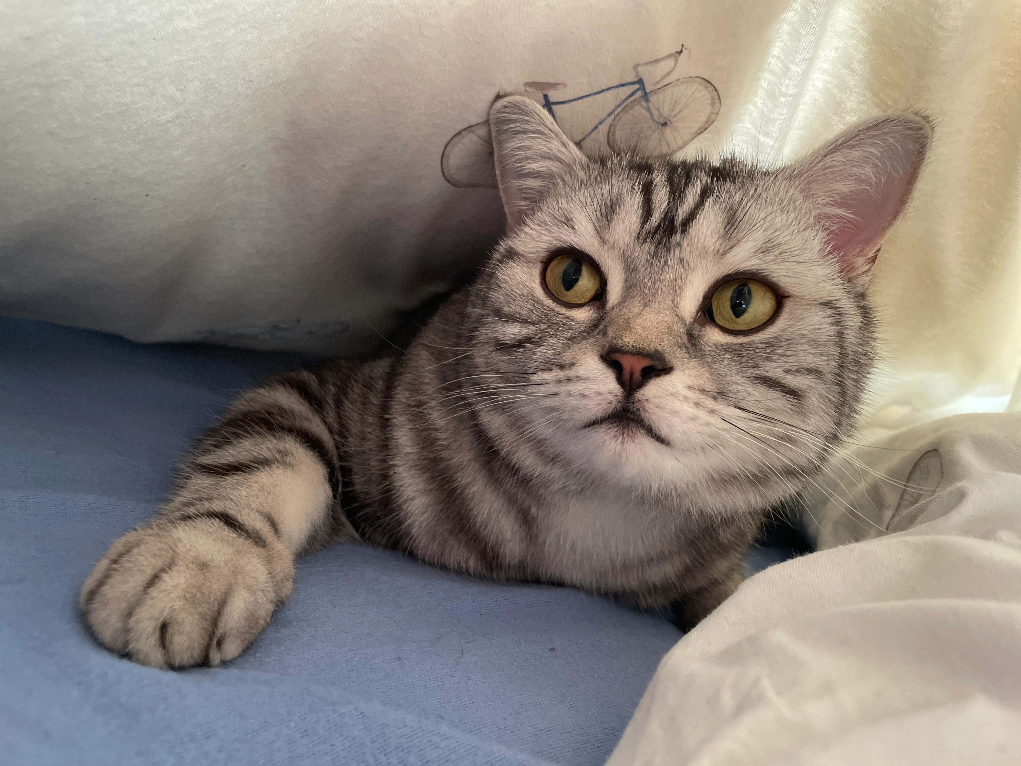 Kos - Pestalozzistraße, Reutlingen