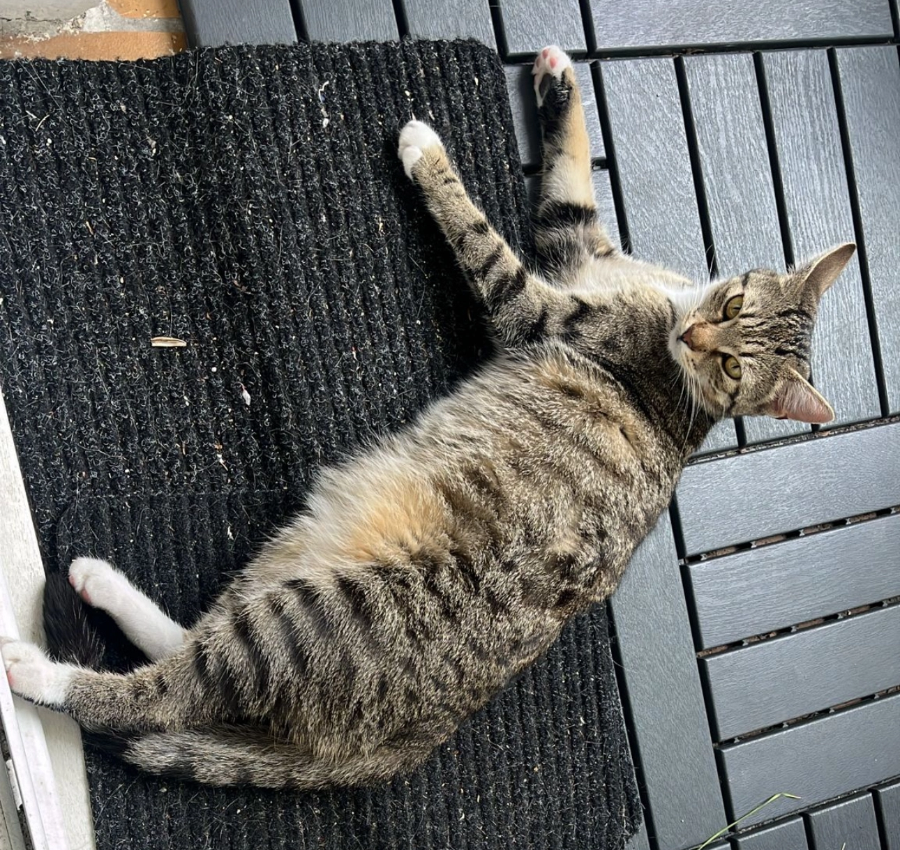 nami - Ostmarkstraße, Münster