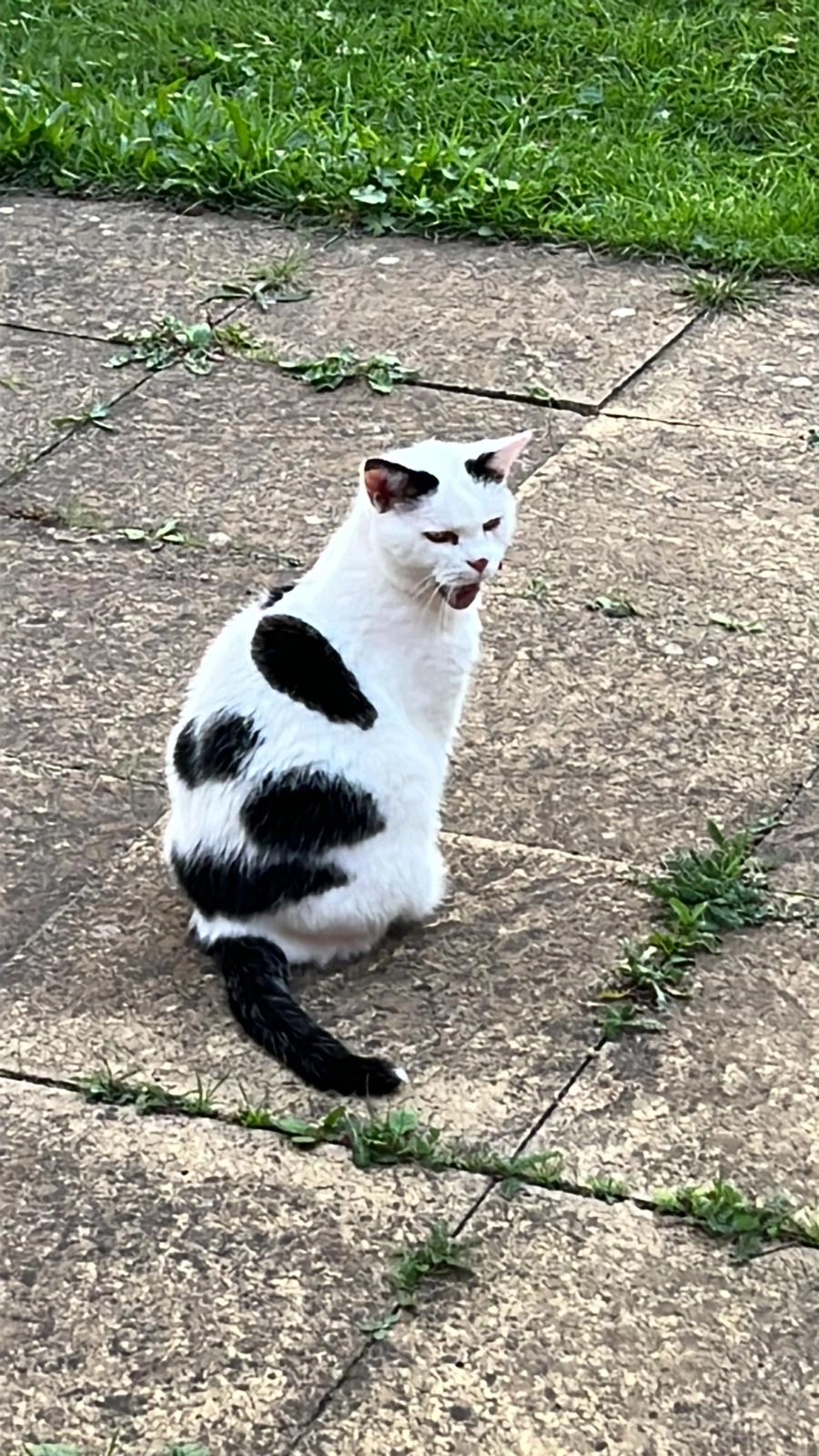 Brooke - Hanover Square, Colchester