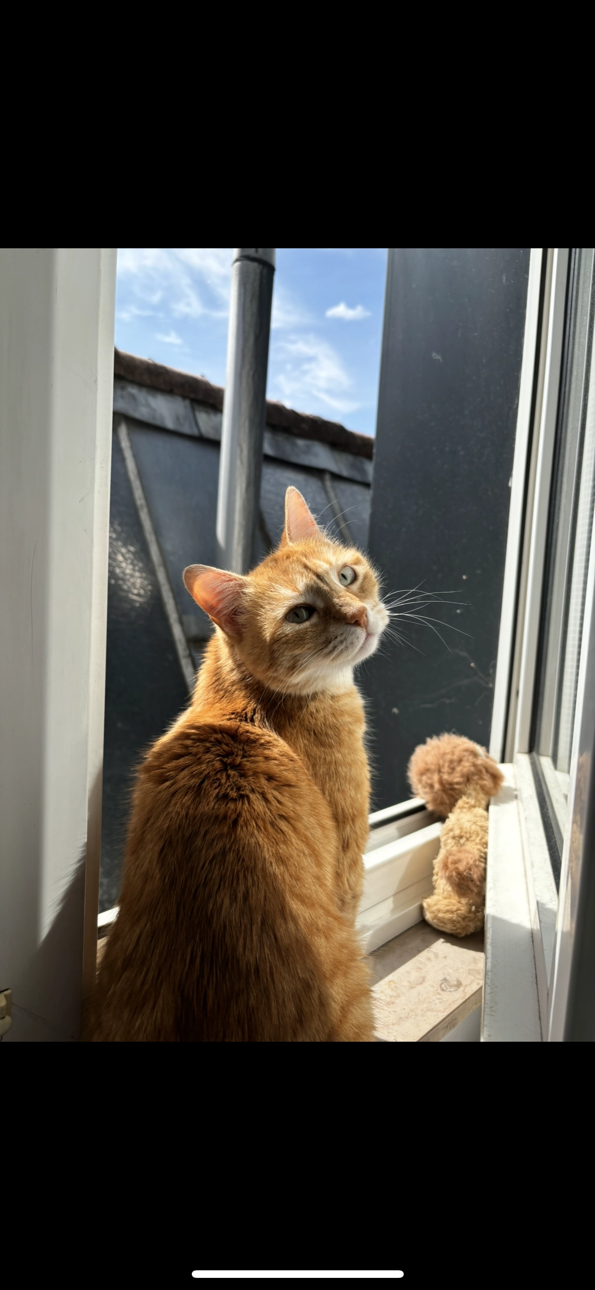 Naya  - Chaussée de Lille, Tournai