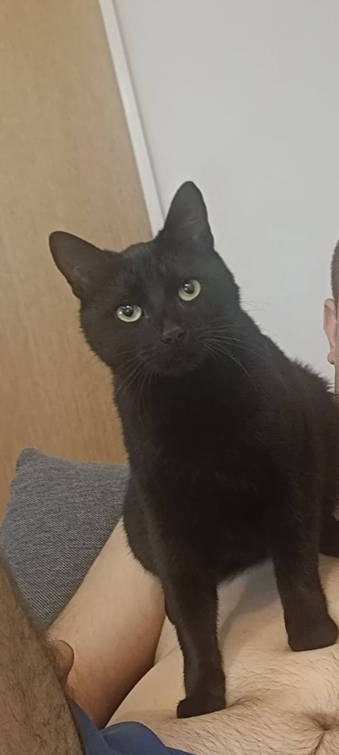 Jerry  - Hellbuschweg, Hagenow