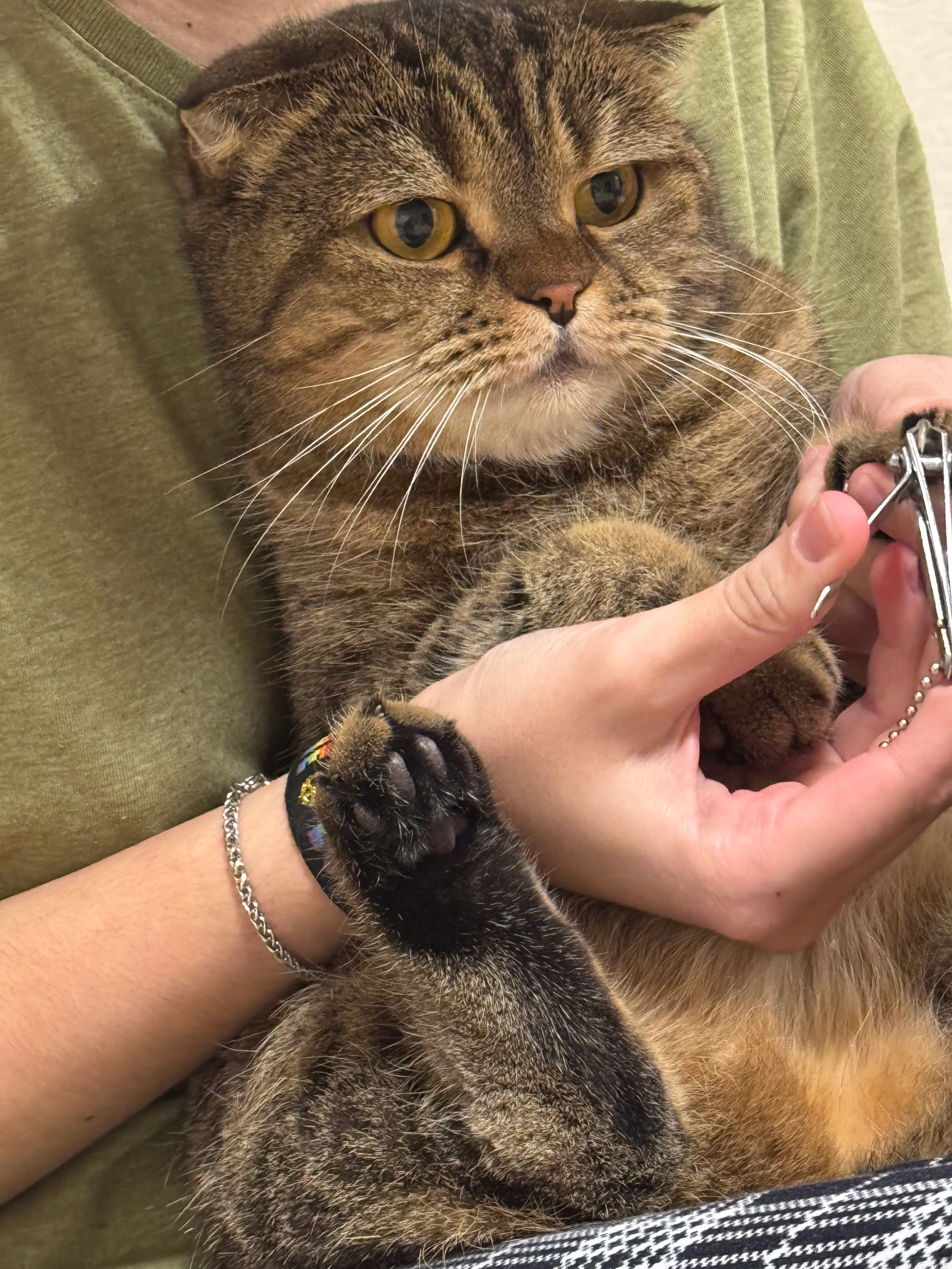 Nala - Jedlersdorfer Straße, Wien