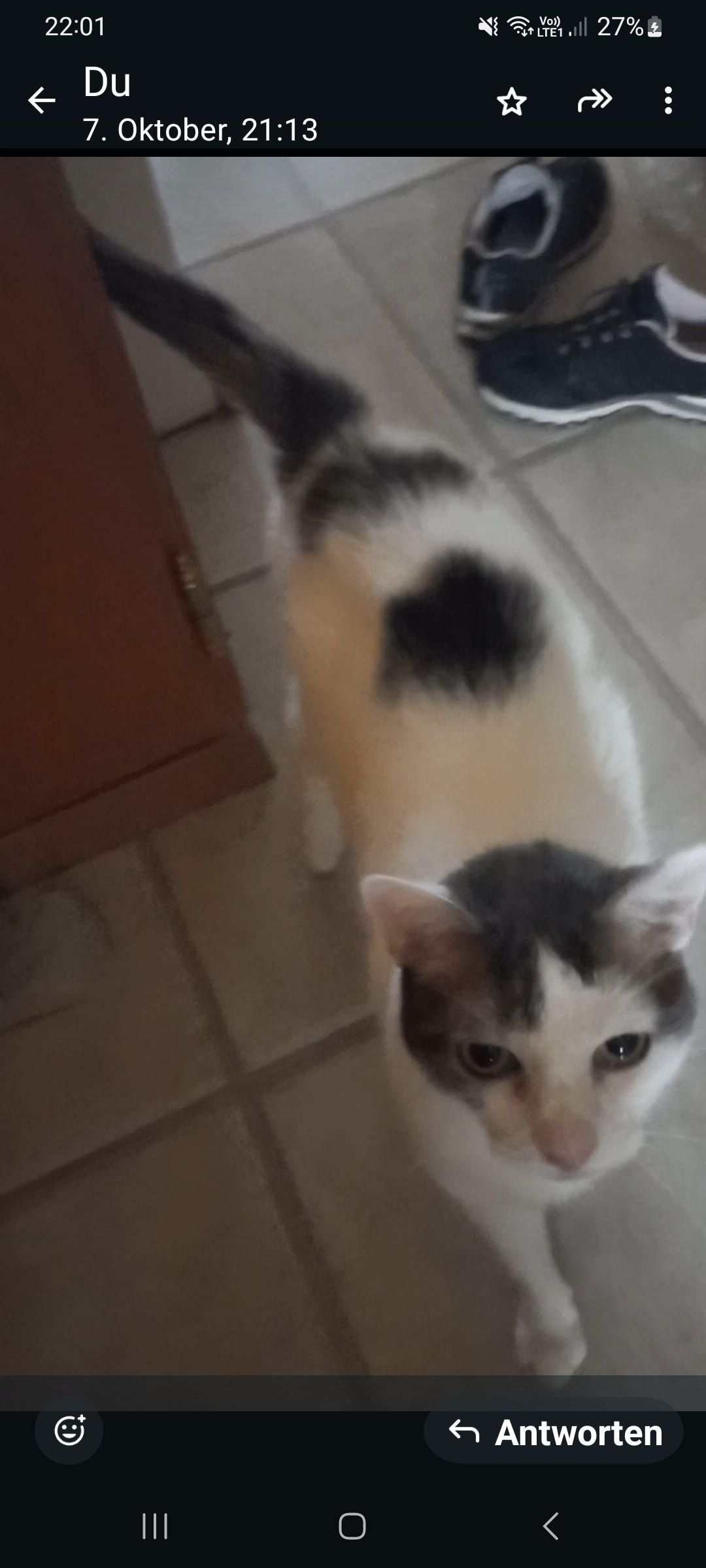 Lumpi - Dorfstrasse 74, Agarn