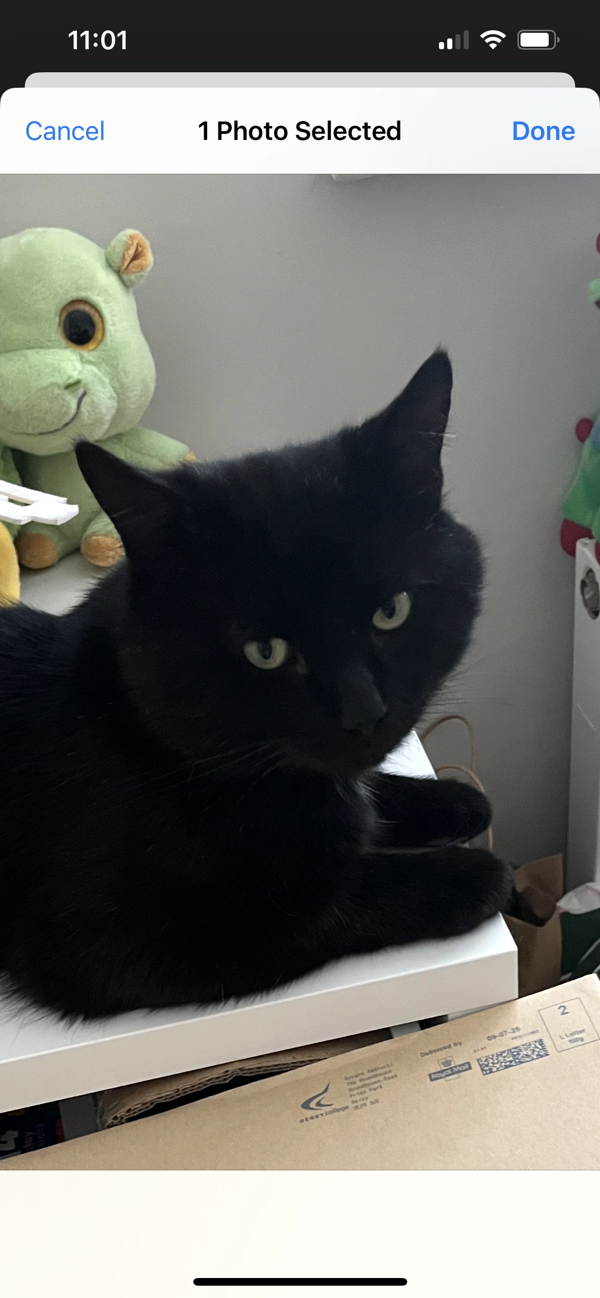 Dusky - Dale Park Avenue, Belper