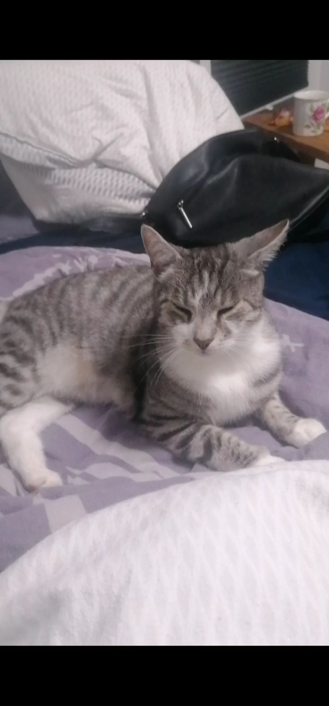 Waldi - Mittlere Eicher Straße, Kempten