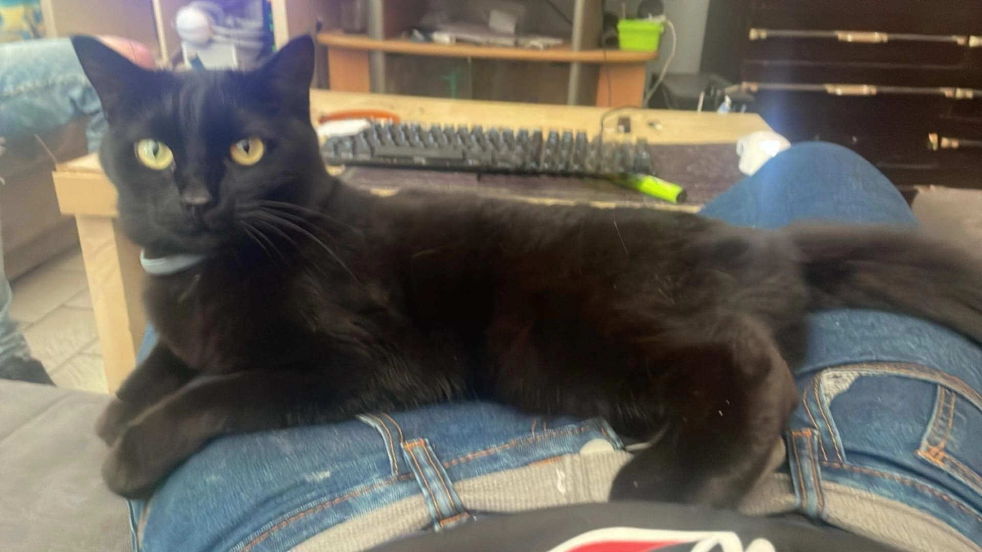 Lila - Rue du Moulin, Charleroi